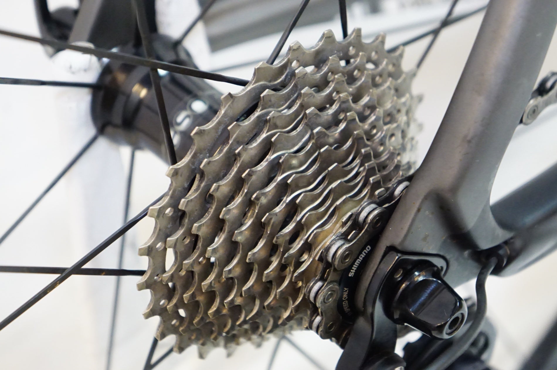 CEEPO 「シーポ」 MAMBA 2018年モデル トライアスロンバイク / 熊谷本店