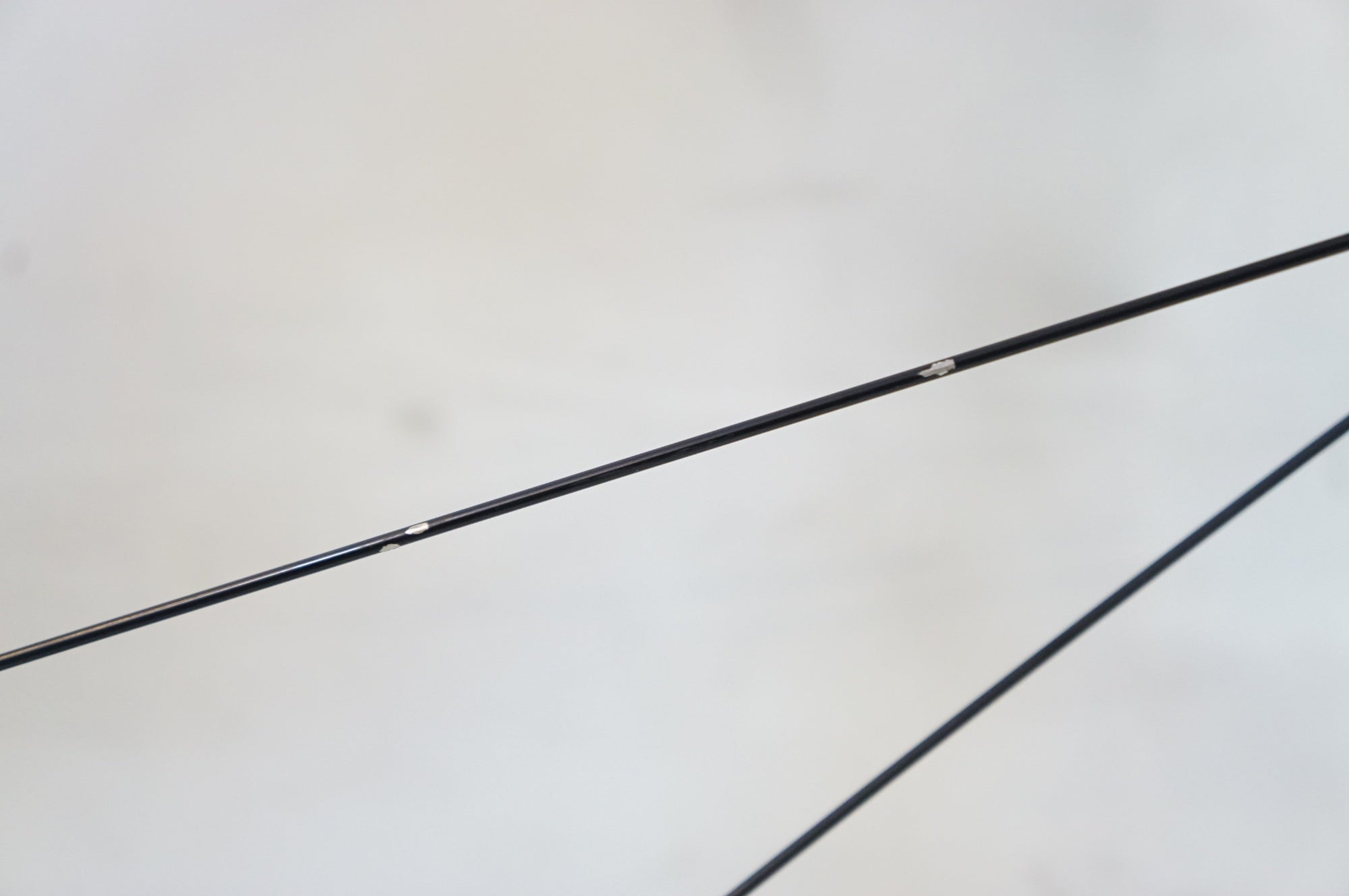 NESTO 「ネスト」 ALTERNA-K 2019年モデル ロードバイク / 熊谷本店