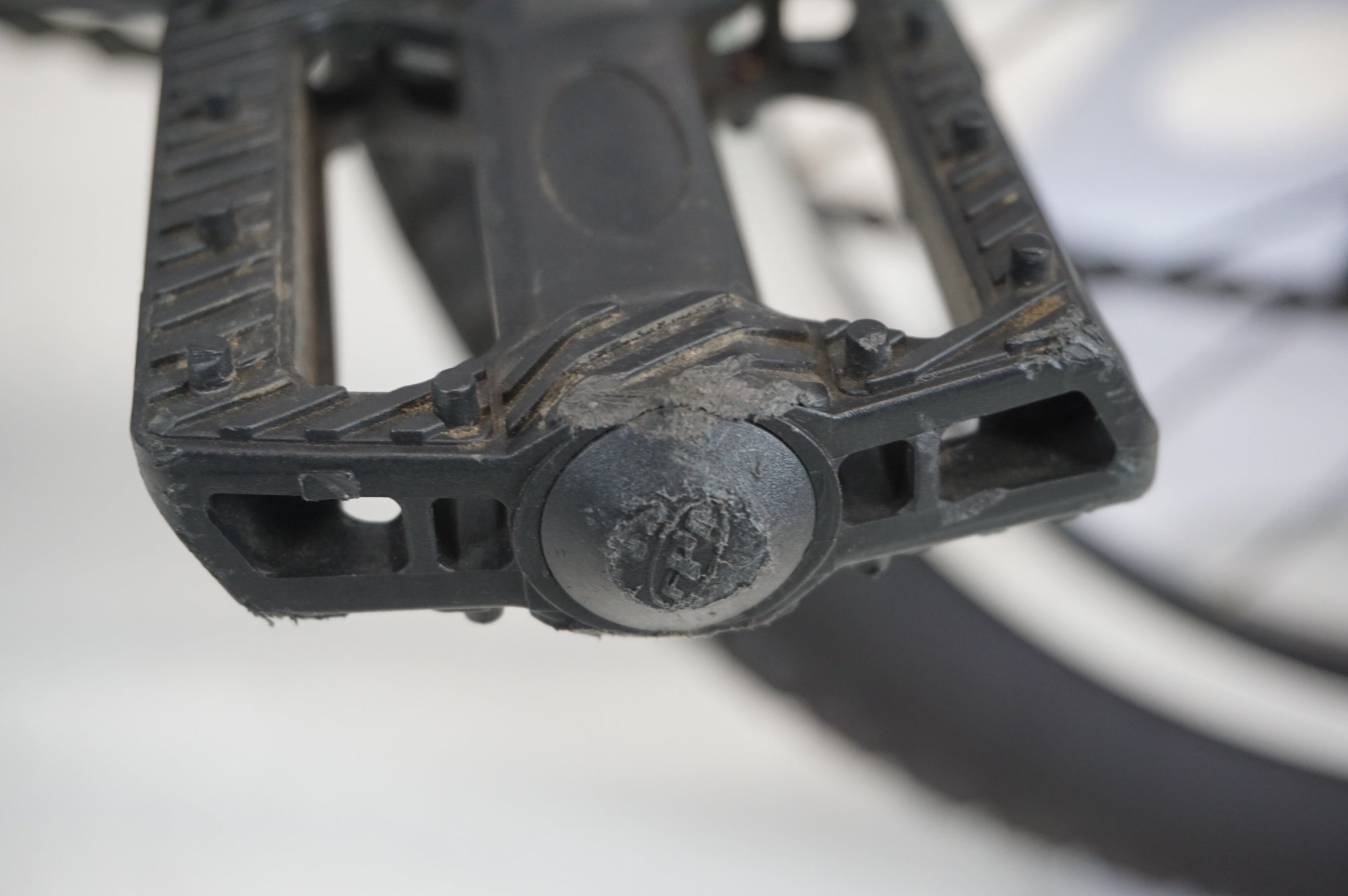 MARIN 「マリン」 DONKY JR 22 2020年モデル キッズバイク / 宇都宮店