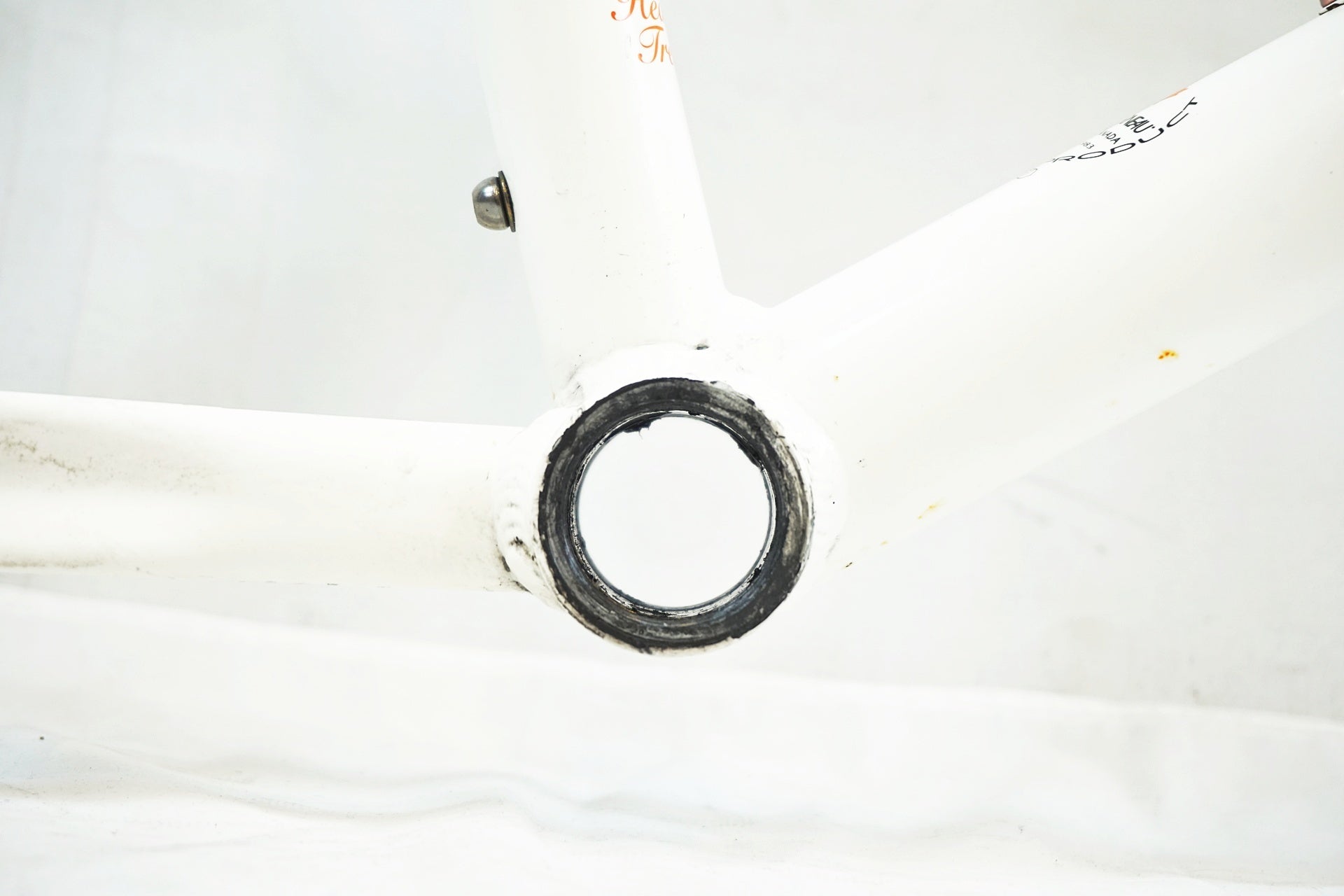 LOUIS GARNEAU 「ルイガノ」 MV-2 PRO 2006年 ミニベロフレームセット / 有明ガーデン店