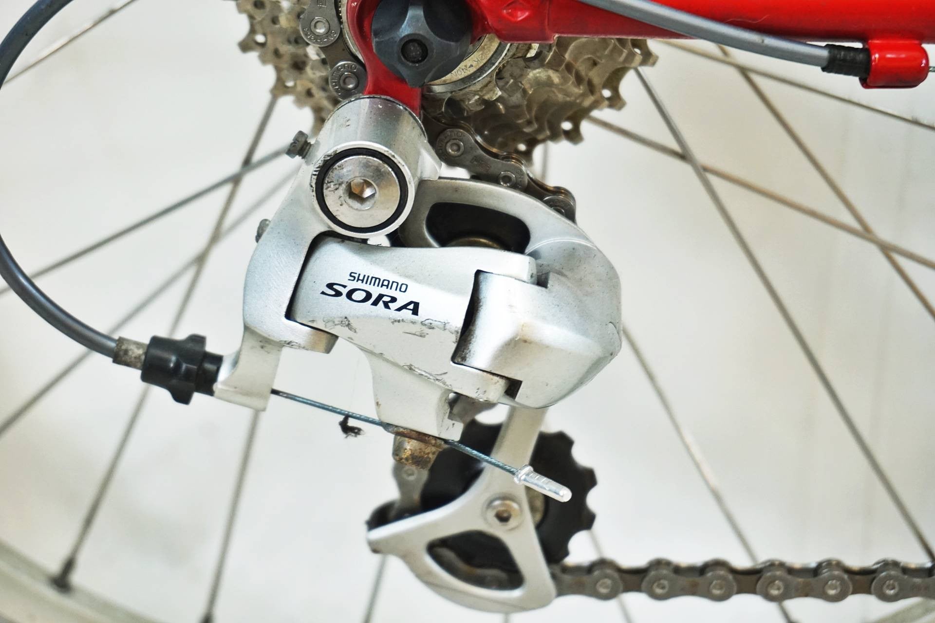 RALEIGH 「ラレー」 RSC RSW CARLTON 2011年モデル ミニベロ / 有明ガーデン店