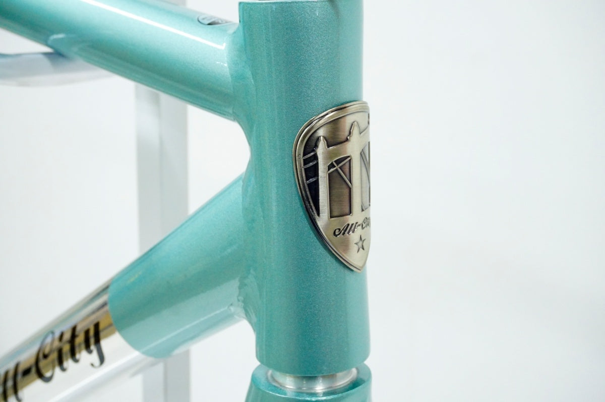 ALL CITY 「オールシティ」 THUNDERDOME 年式不明 フレームセット / 名古屋大須店