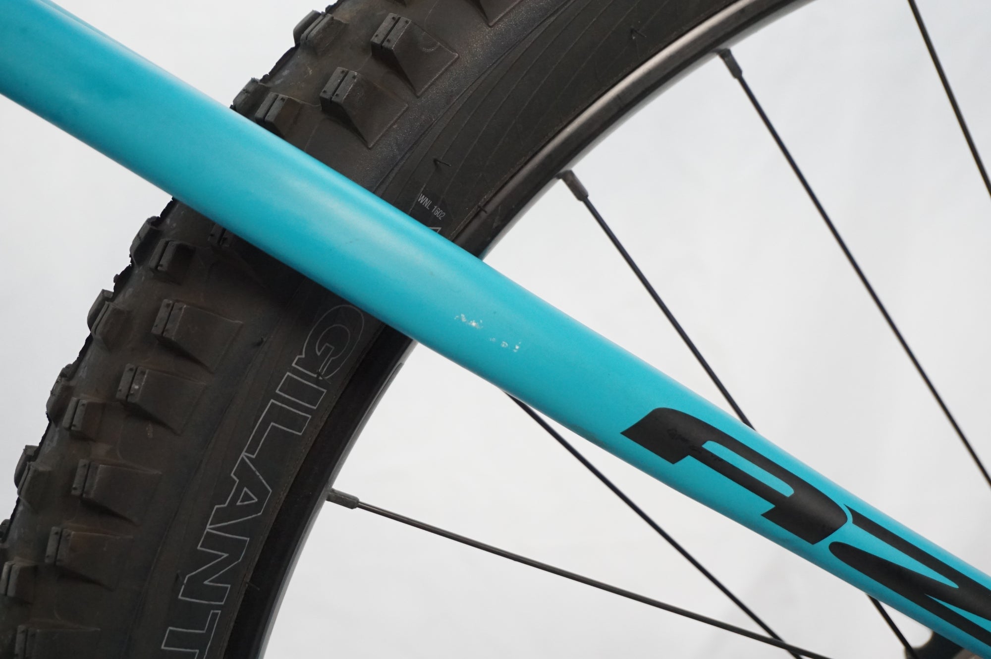 fijimanaです FUJI（フジ）2026年モデル NAOMI DISC （ナオミディスク）