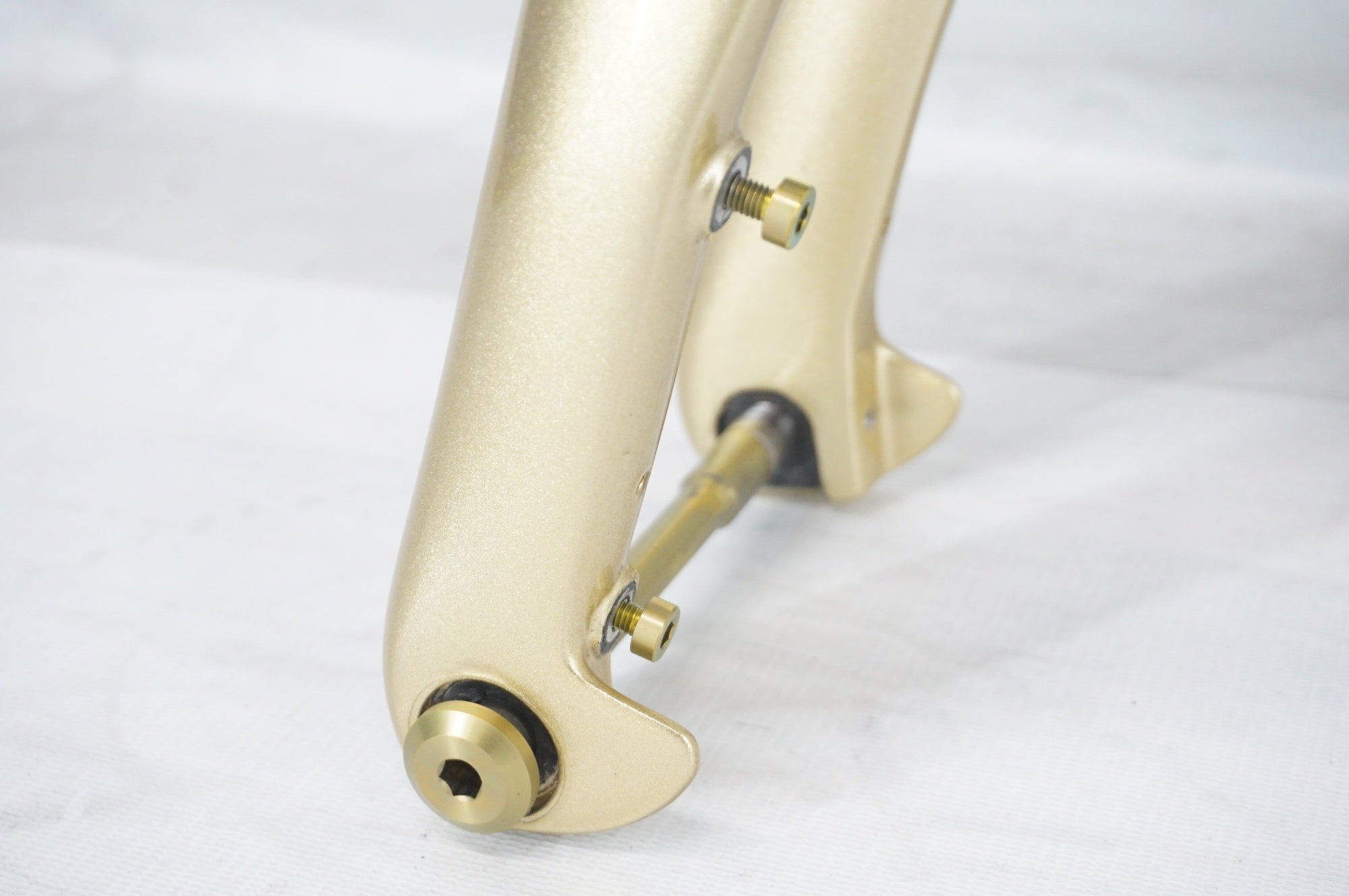 PINARELLO 「ピナレロ」 DOGMA F 2025年モデル フレームセット / 阪急塚口店