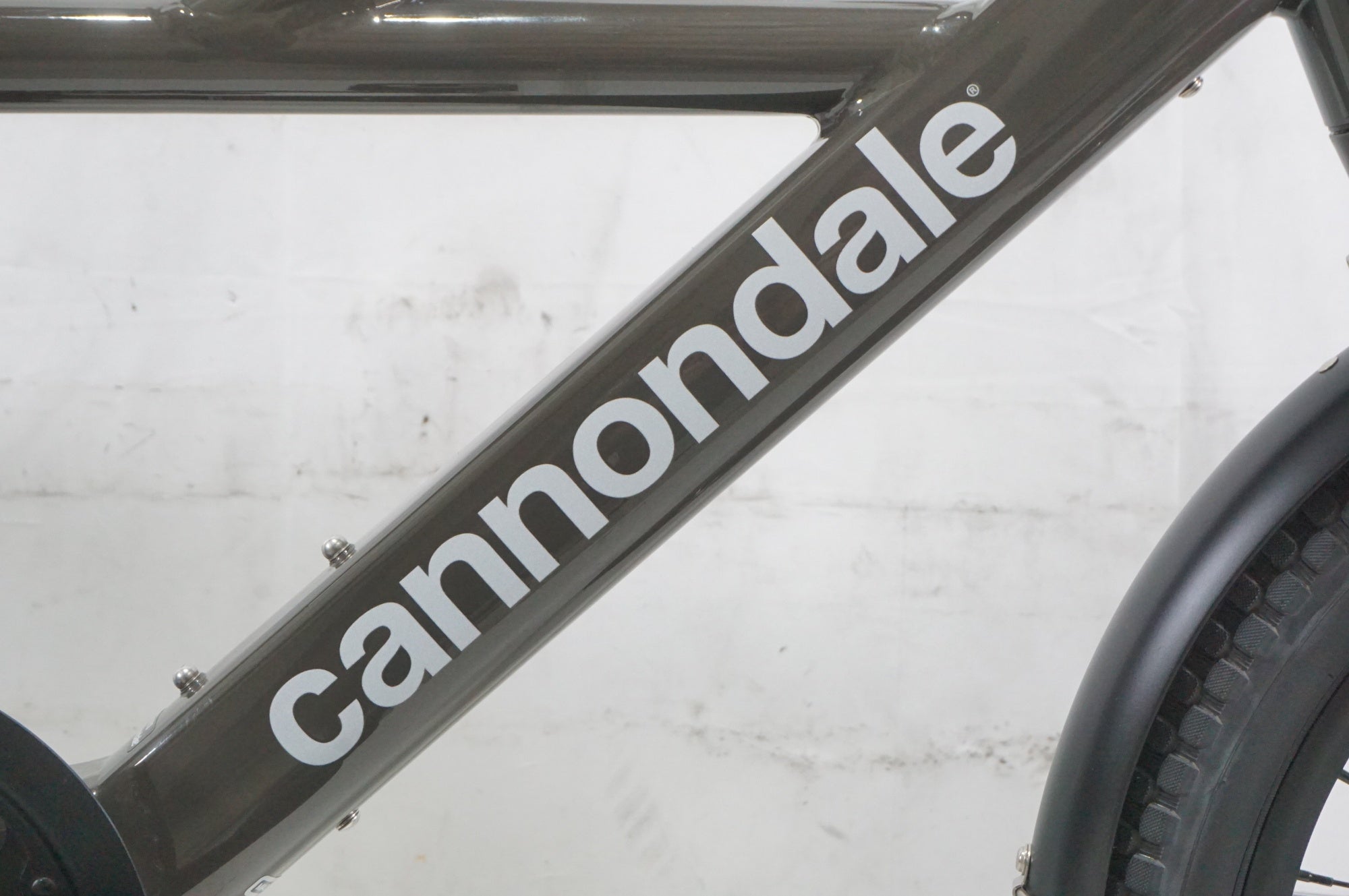 CANNONDALE 「キャノンデール」 COMPACT NEO 2022年モデル 20インチ eBike / AKIBA店