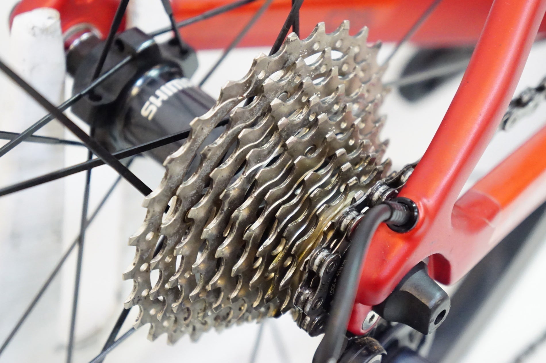 COLNAGO 「コルナゴ」 C-RS ULTEGRA 2019年モデル ロードバイク / 熊谷本店