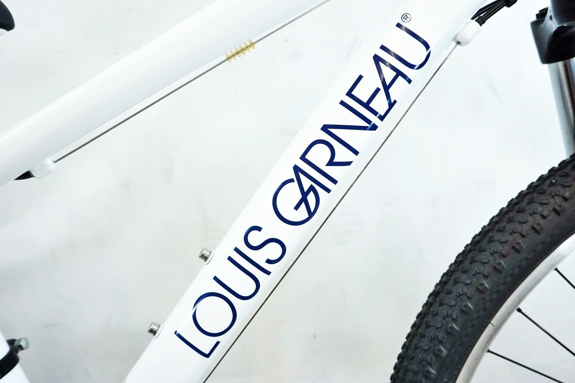 LOUIS GARNEAU 「ルイガノ」 LGS-J24 2020年モデル キッズバイク