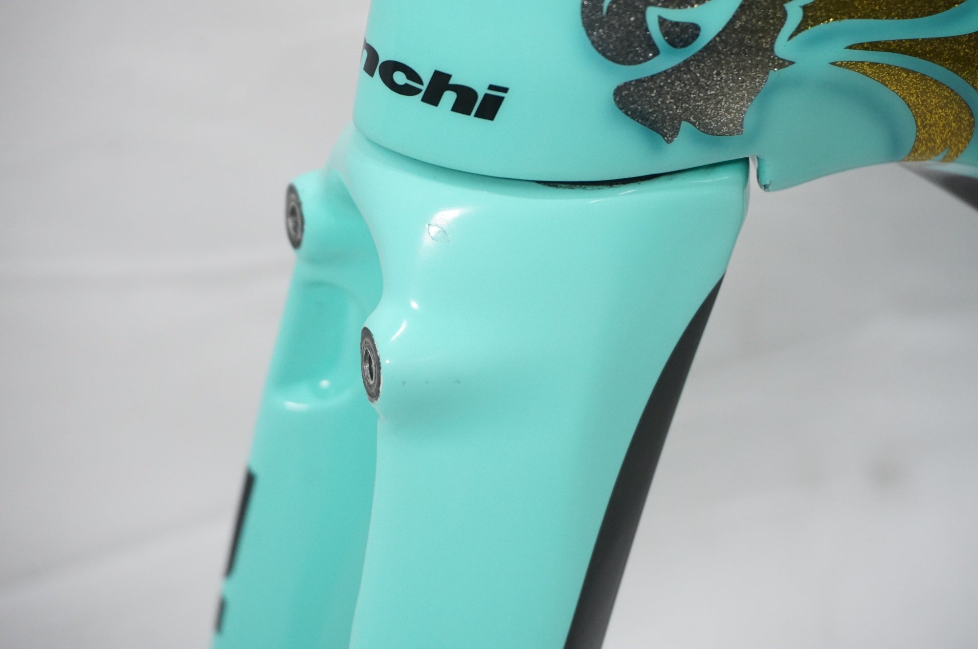 BIANCHI 「ビアンキ」 OLTRE XR4 FLANDERS LION 2019年モデル フレームセット / AKIBA店