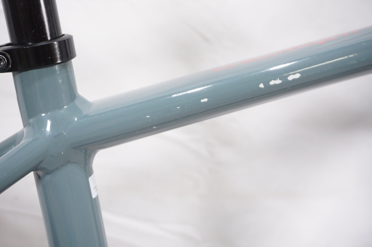 TREK 「トレック」 CHECKPOINT AL4 2020年モデル ロードバイク / AKIBA店