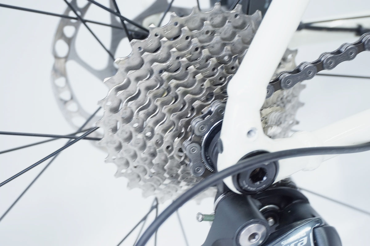 TREK 「トレック」 DOMANE AL4 GEN4 2024年モデル ロードバイク / 京都八幡店