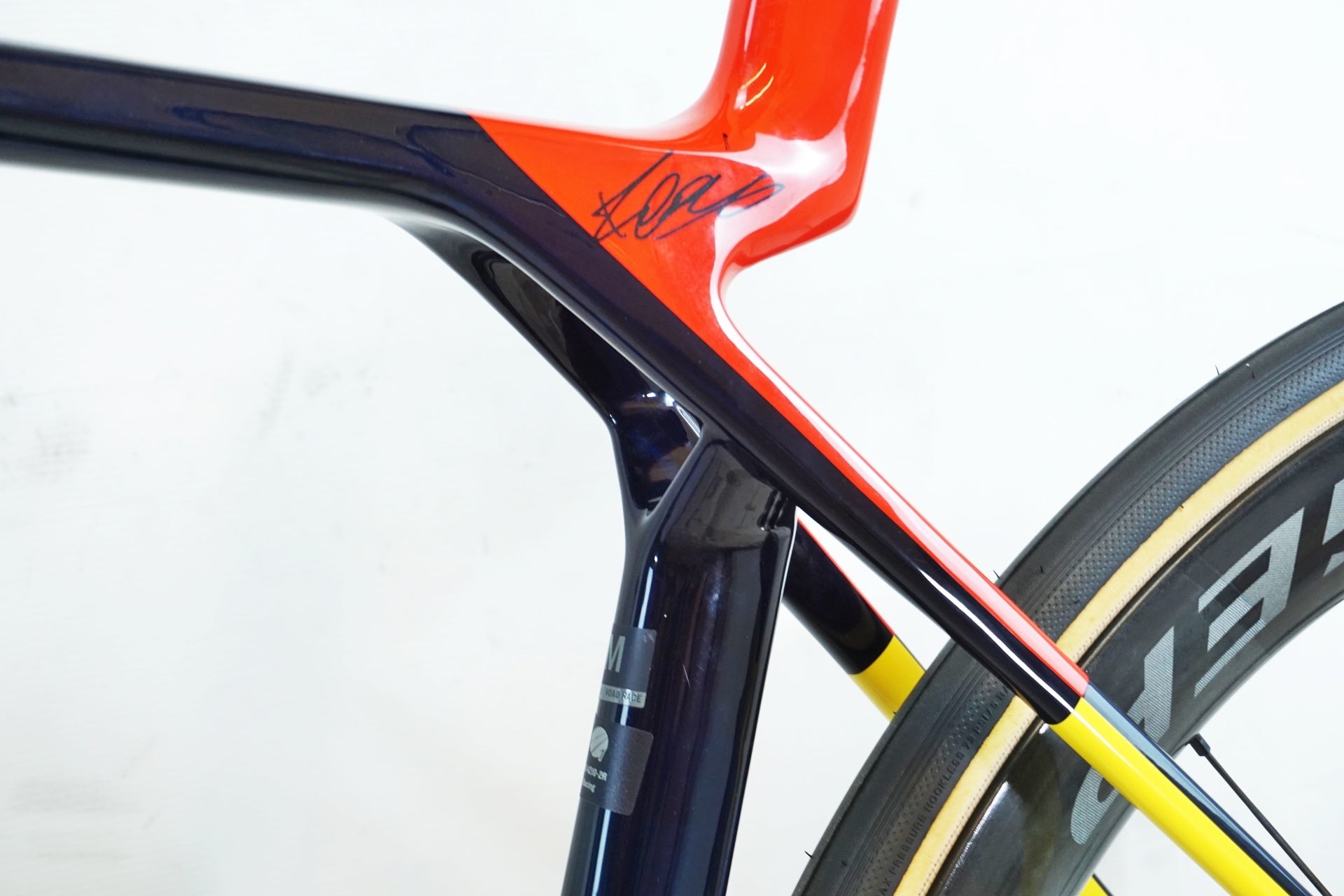 TREK 「トレック」 MADONE SLR9 AXS GEN8 2025年モデル ロードバイク / 有明ガーデン店