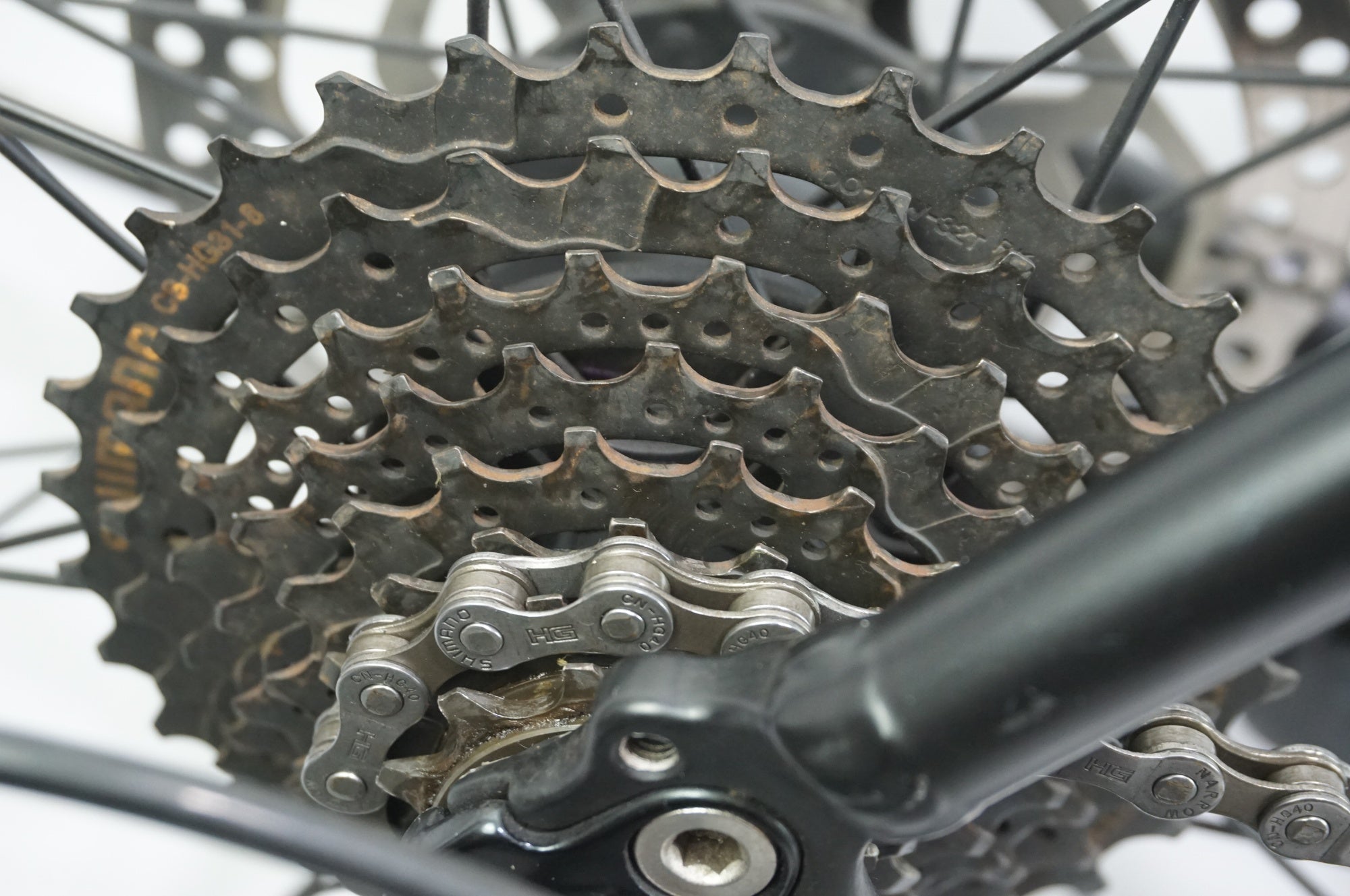 FUJI 「フジ」 RAIZ DISC 2020年モデル クロスバイク / 中目黒店