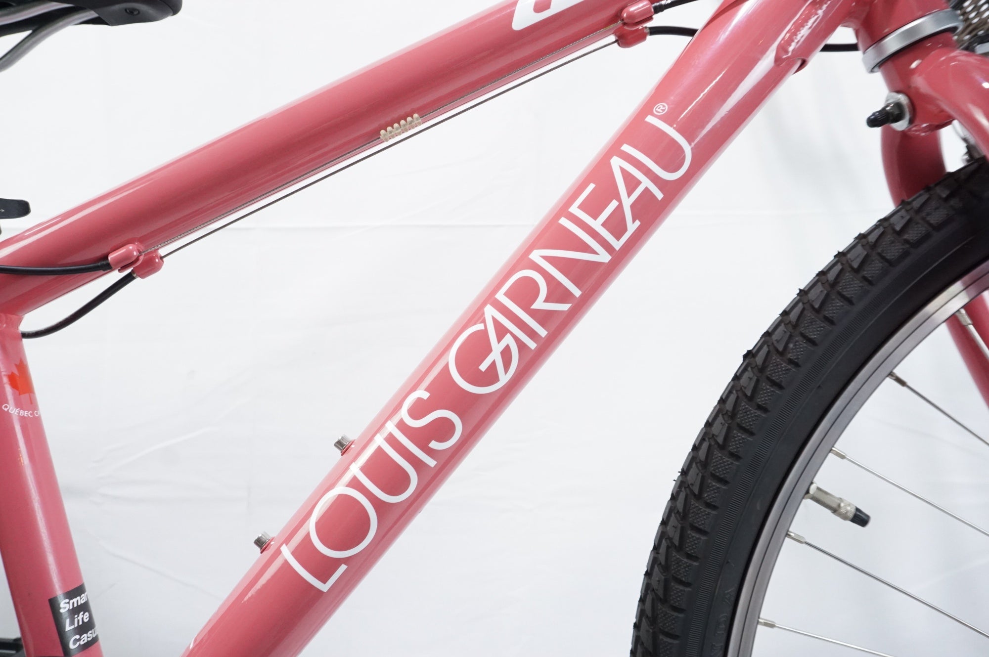 LOUIS GARNEAU 「ルイガノ」 GRIND CS LIMITED 26 2022年頃 26インチ キッズバイク / 中目黒店
