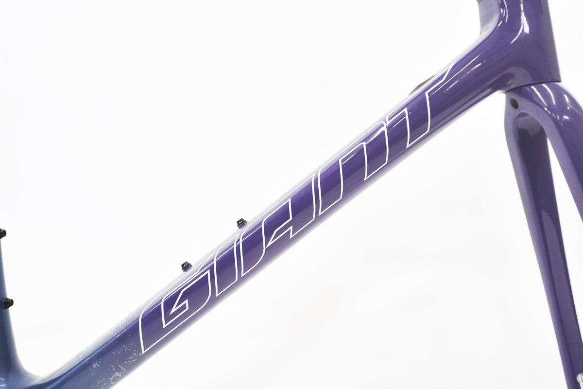 GIANT 「ジャイアント」 TCR ADVANCED SL 2021年モデル フレームセット / 東京商品化センター