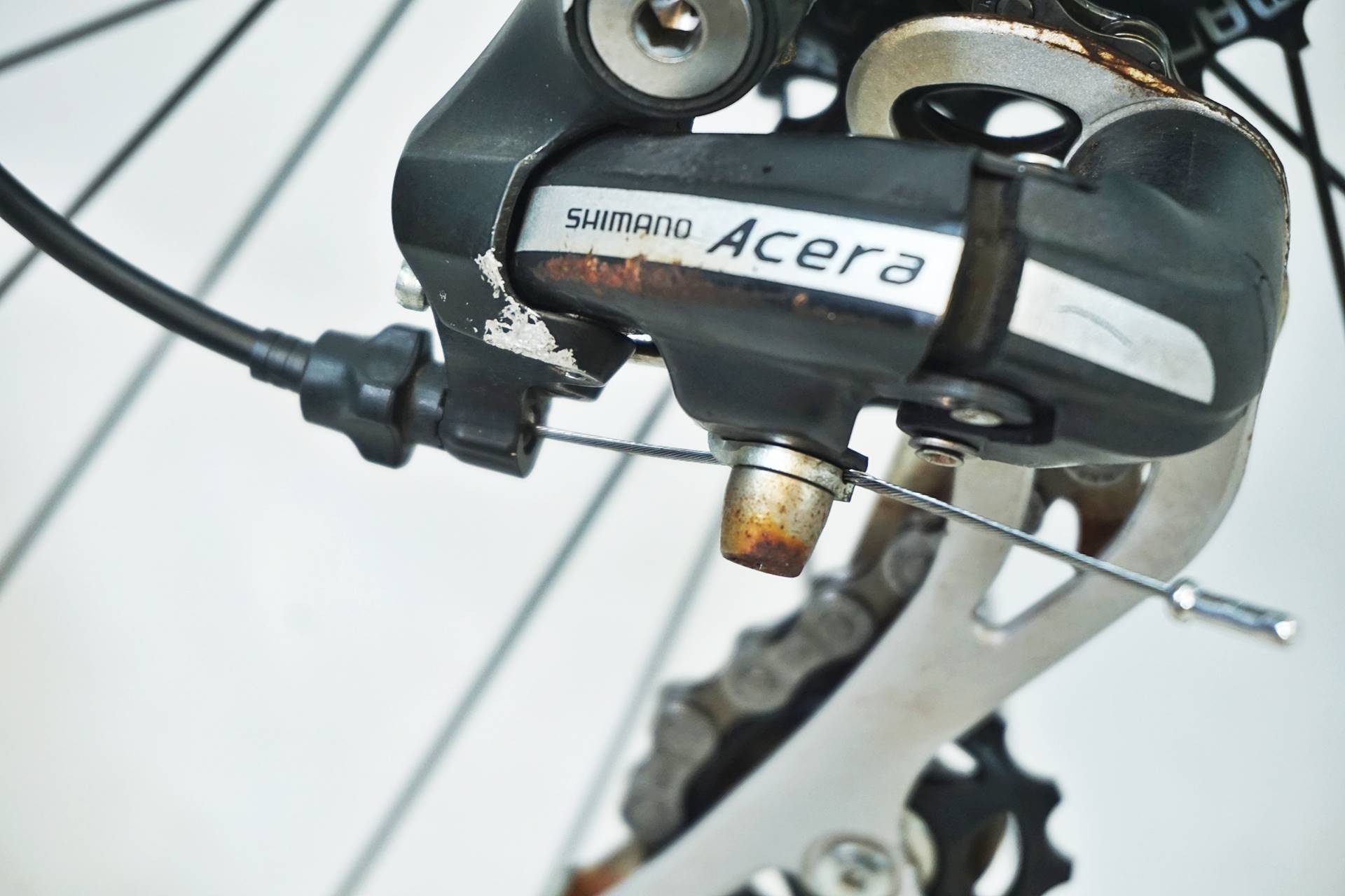 BIANCHI 「ビアンキ」 C-SPORT1 2021年モデル クロスバイク / 有明ガーデン店