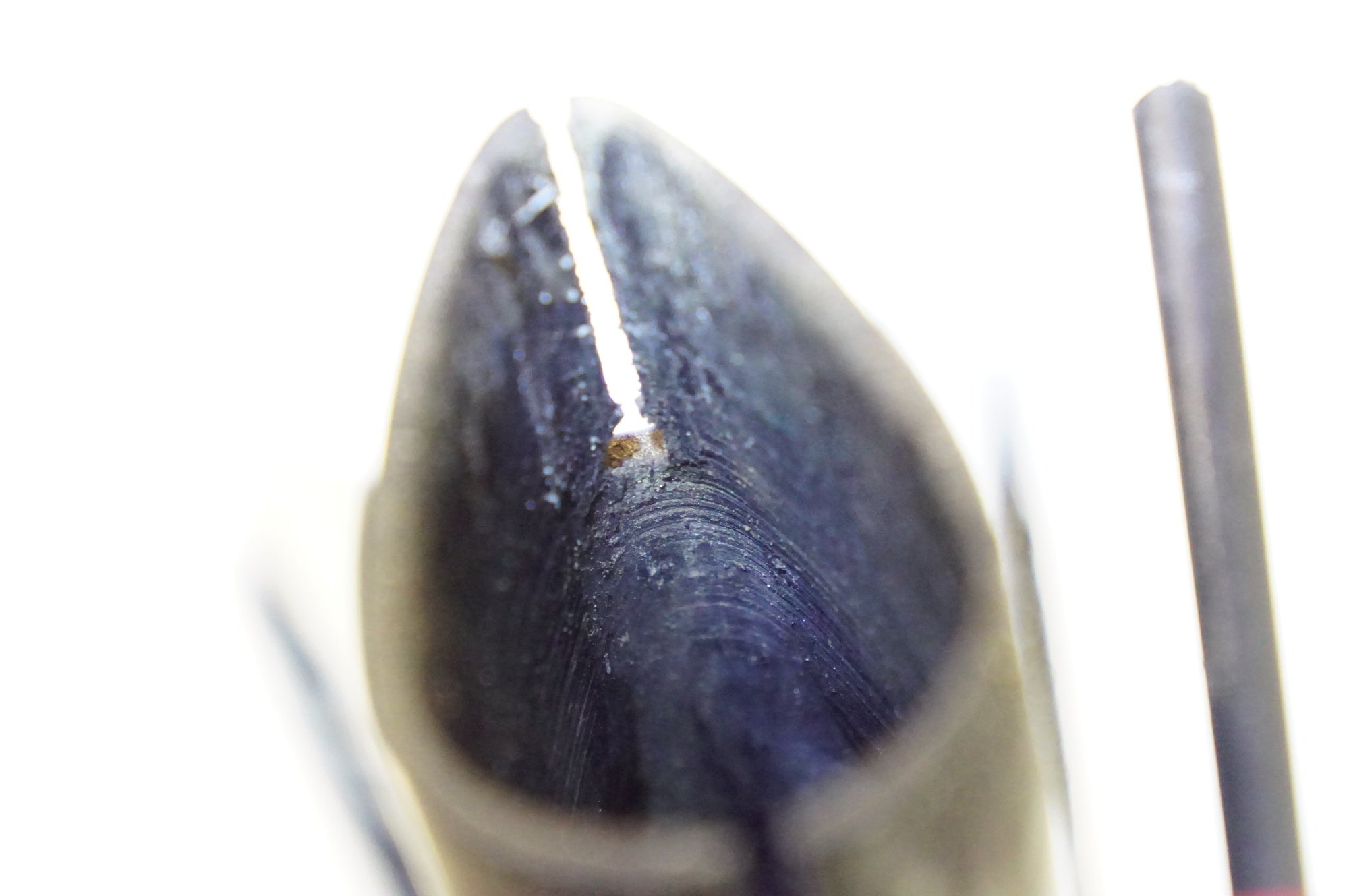 ジャンク RIDLEY 「リドレー」 NOAH RS 2013年頃 フレームセット / 熊谷本店