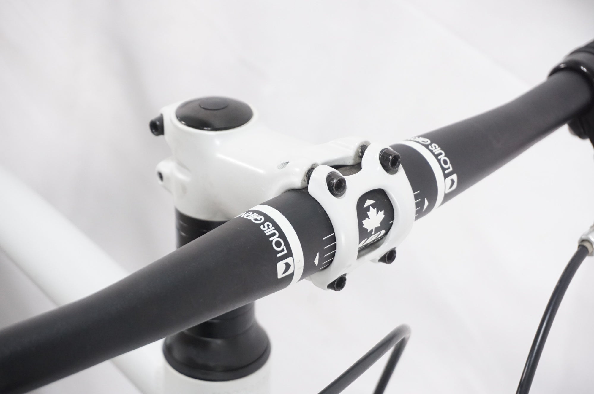 LOUIS GARNEAU 「ルイガノ」 EASEL SS 2023年モデル 20インチ ミニベロ