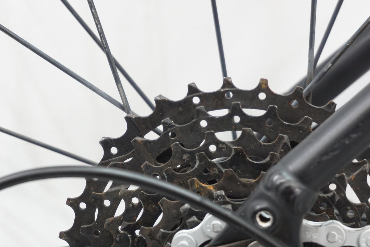 SPECIALIZED 「スペシャライズド」 ALLEZ 2019年モデル ロードバイク / 大宮店