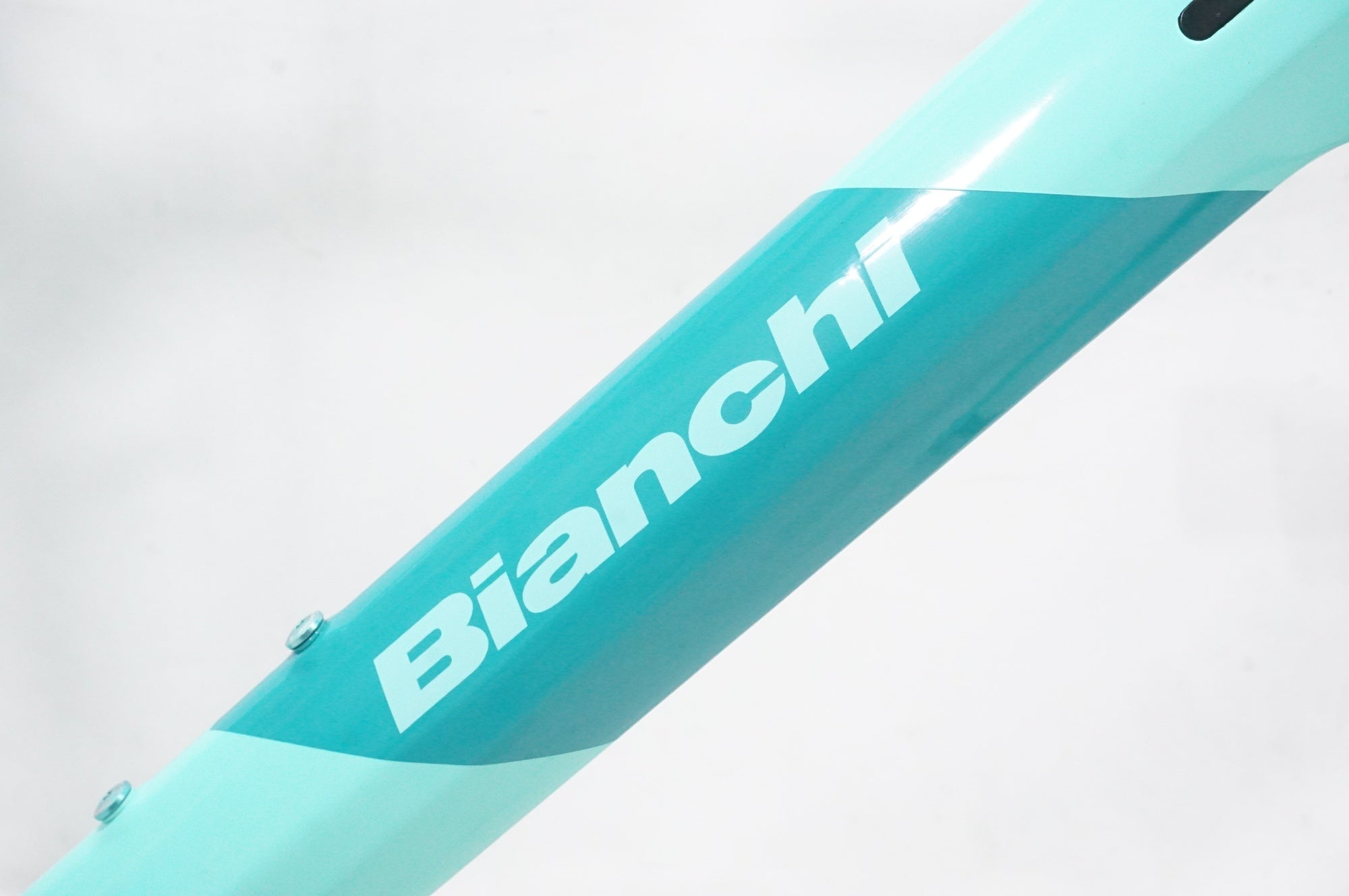 ジャンク BIANCHI 「ビアンキ」 INFINITO CV DISC 2022年モデル フレームセット / AKIBA店