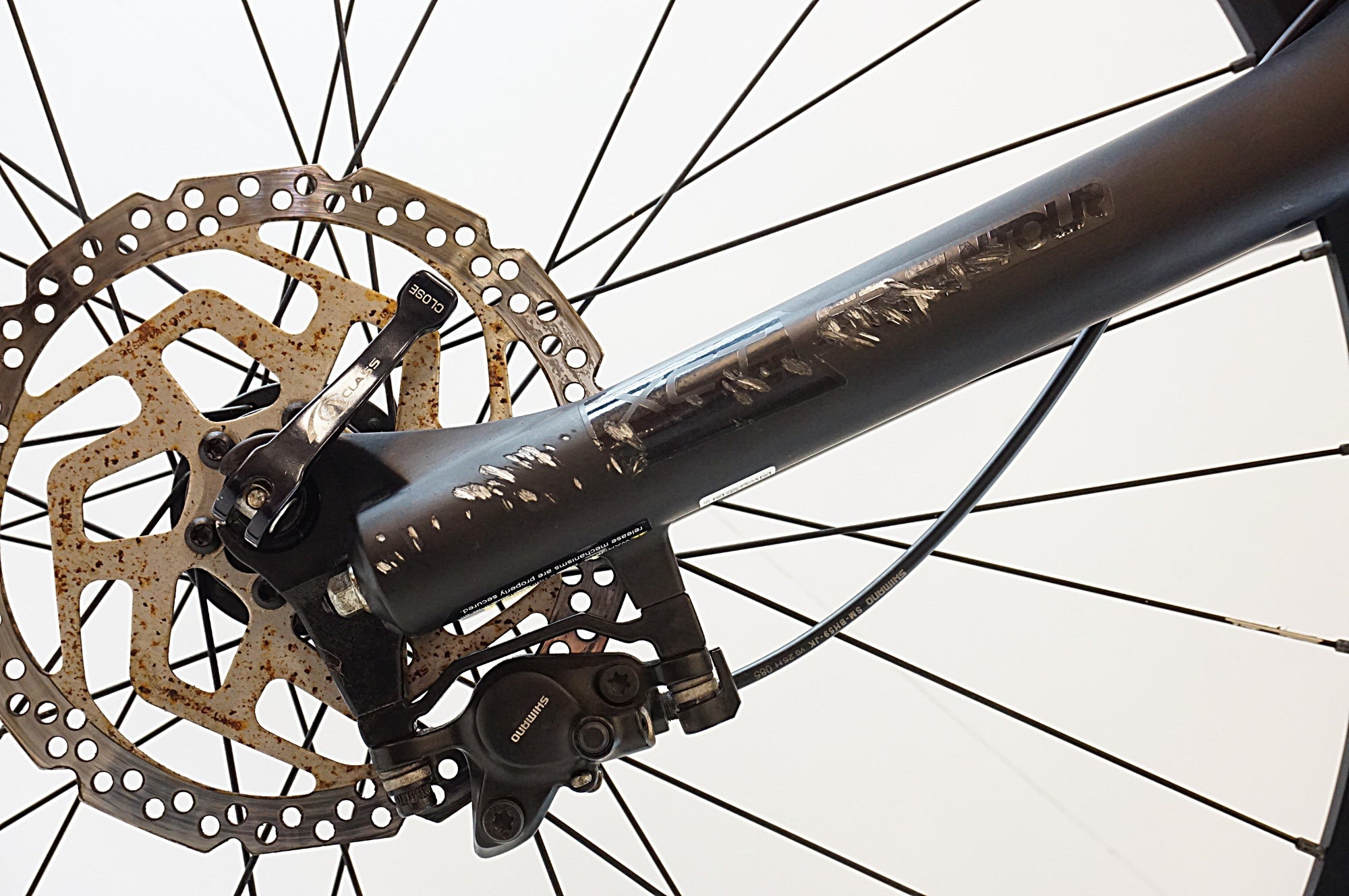TREK 「トレック」 MARLIN 5 GEN 3 2024-2025年モデル マウンテン