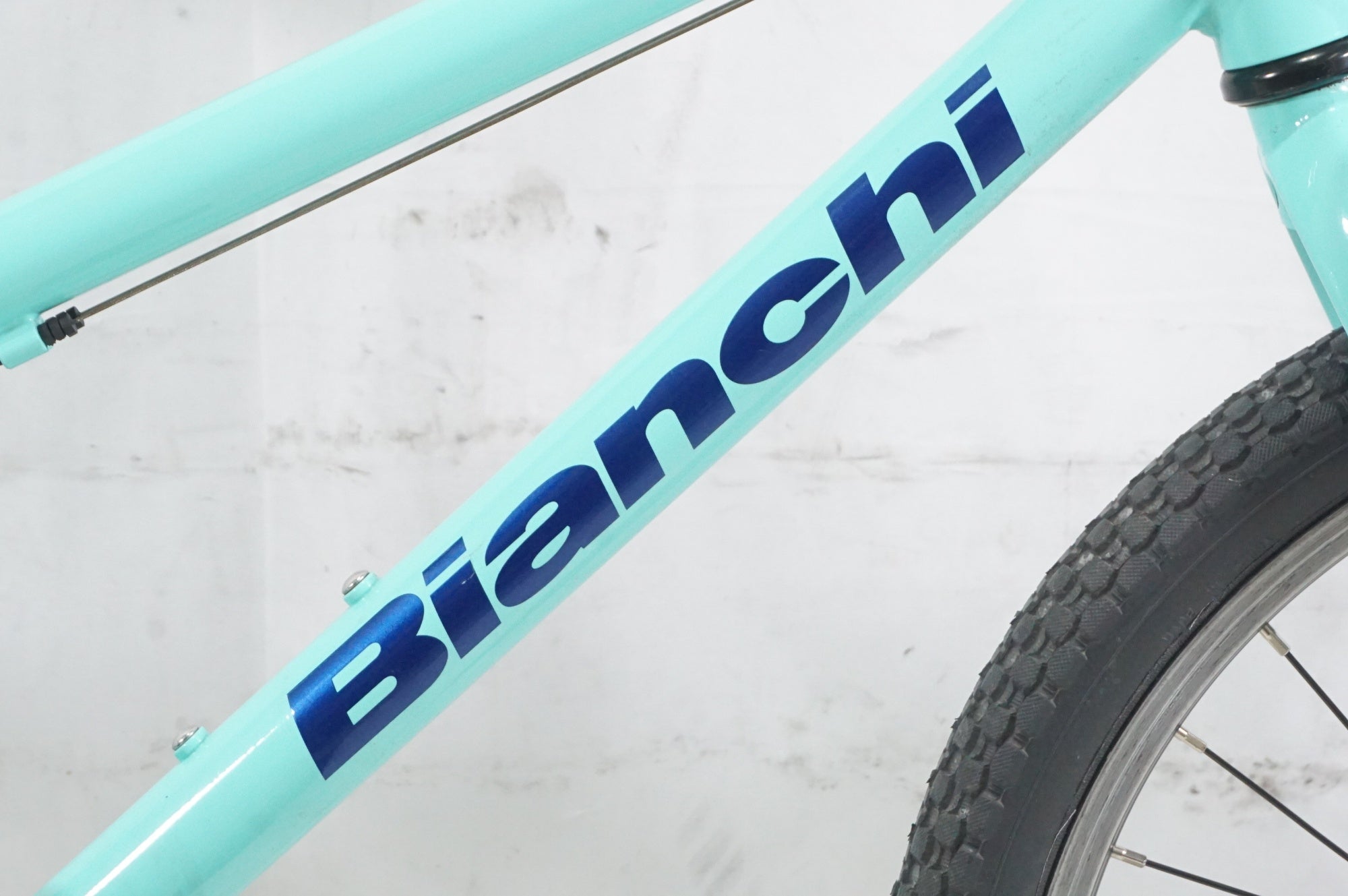 BIANCHI 「ビアンキ」 PIRATA 20 2019年モデル キッズバイク