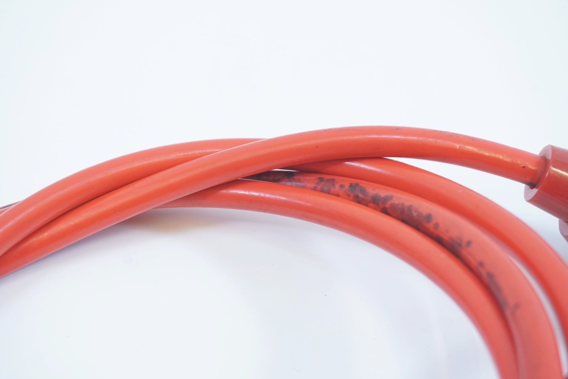 ADEPT 「アデプト」 ワイヤーロック / 有明ガーデン店