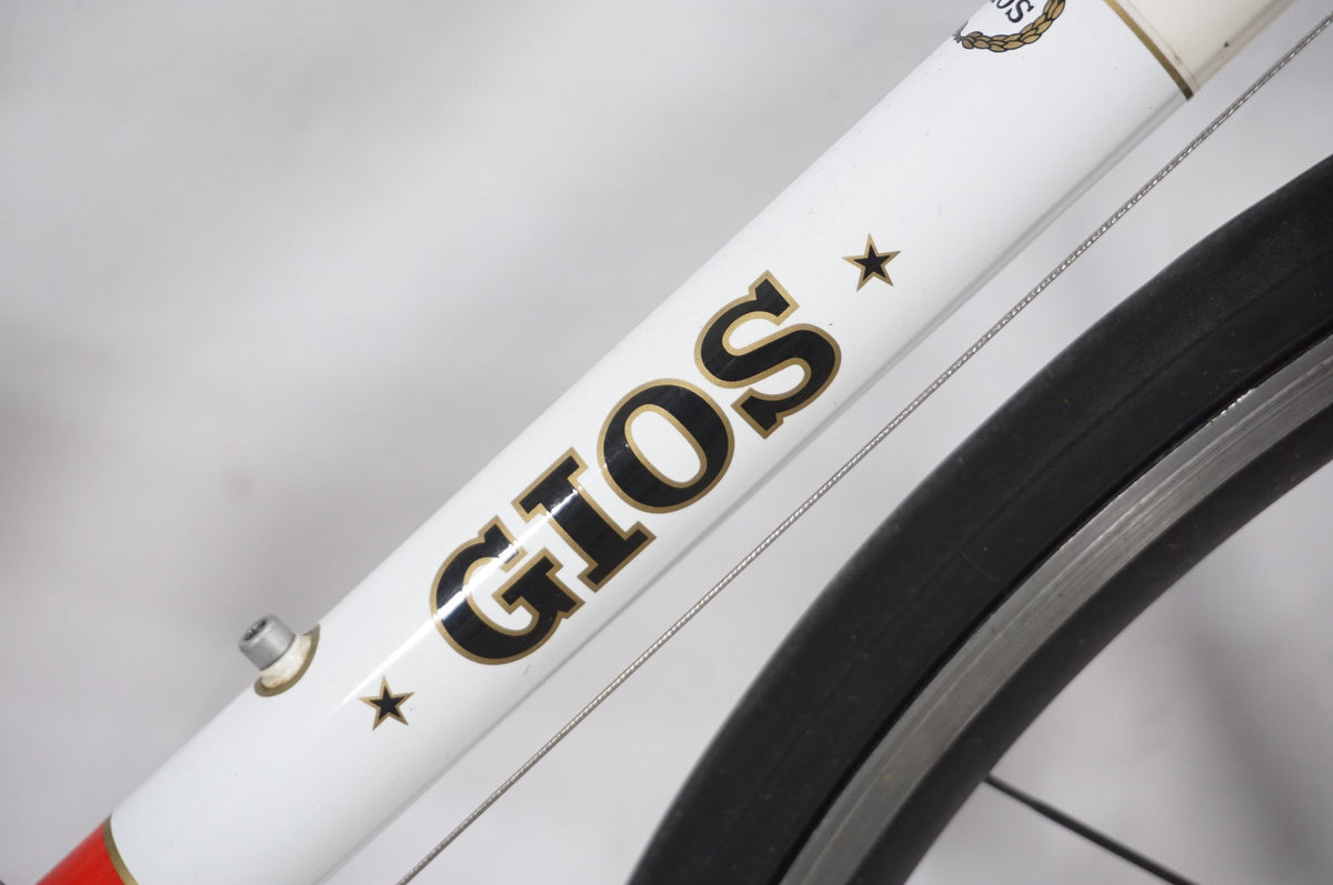 GIOS 「ジオス」 VECCHIO TIAGRA 2010年モデル カスタム ロードバイク / AKIBA店