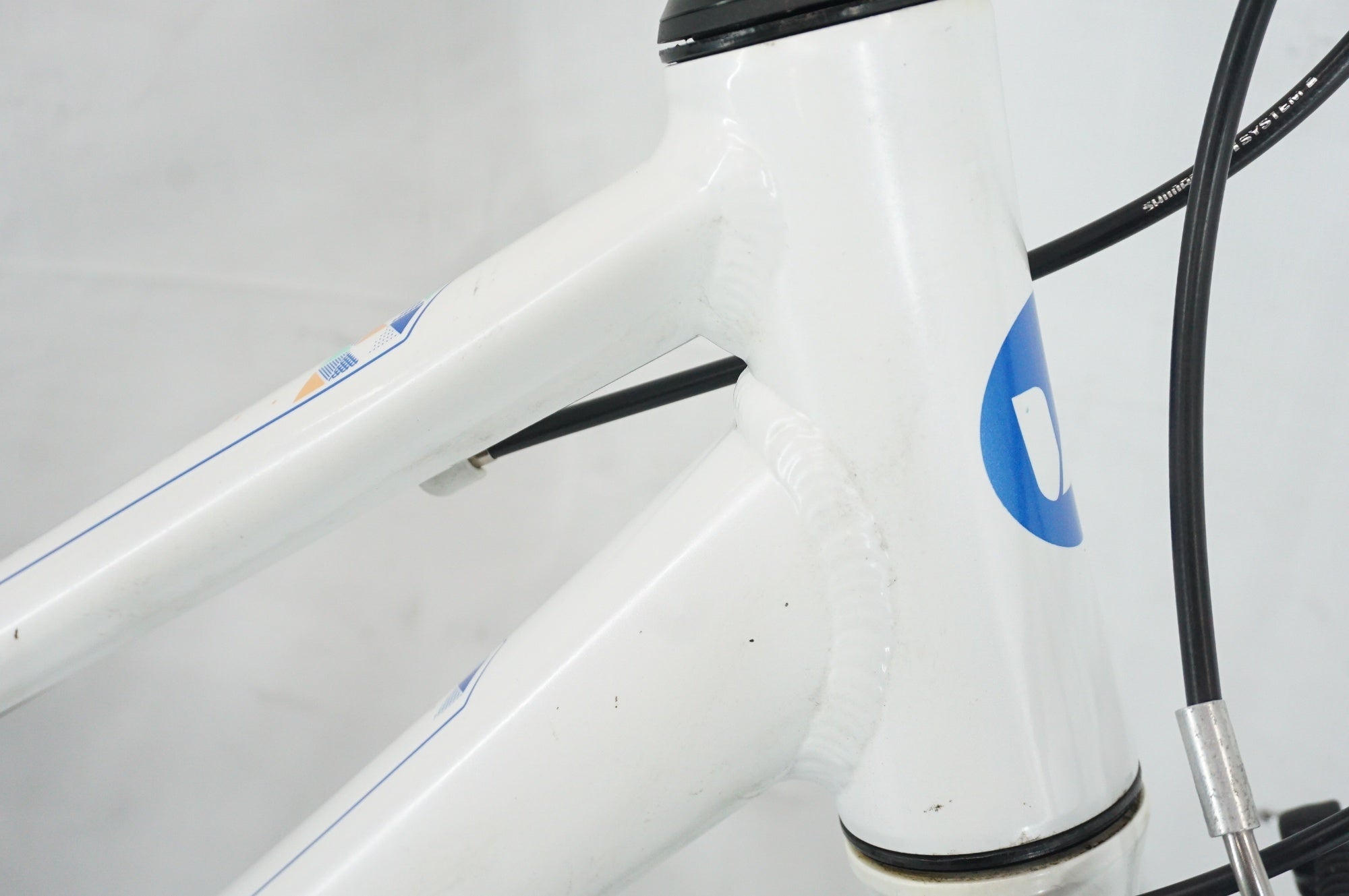 GIANT 「ジャイアント」 LIV ALIGHT24 2020年モデル 24インチ キッズバイク / 阪急塚口店