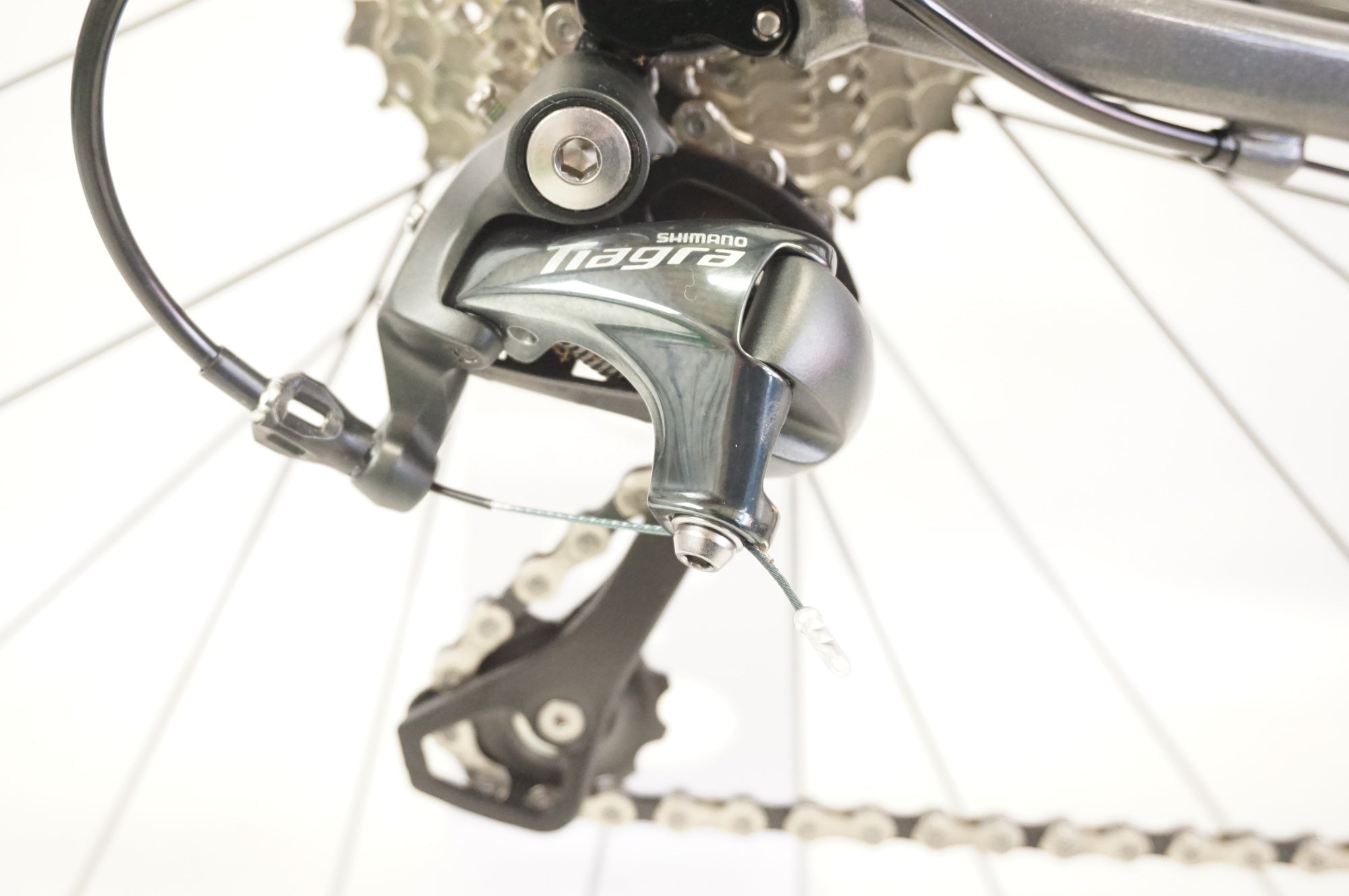 RIDLEY 「リドレー」 FENIX SLA DISC 2025年モデル ロードバイク / 宇都宮店