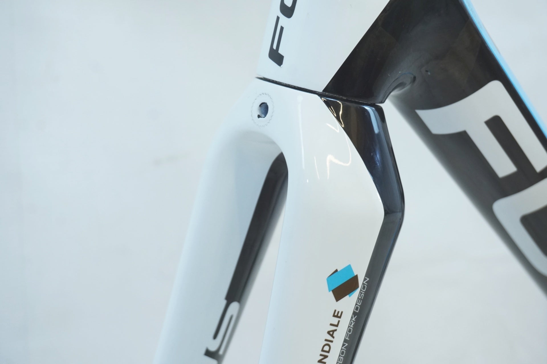 FOCUS 「フォーカス」 CAYO EV 2013 フレームセット / 有明ガーデン店