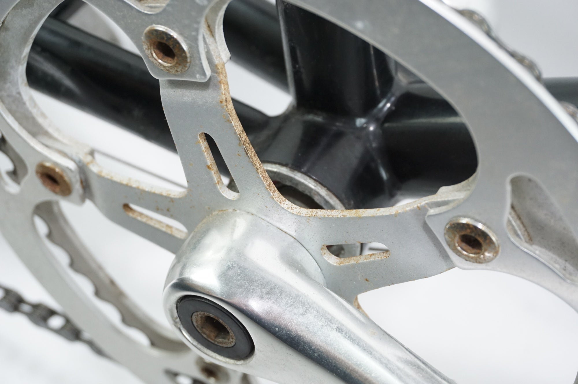BIANCHI 「ビアンキ」 MINIVELO 7 MERLO 2019年モデル ミニベロ / 中目黒店