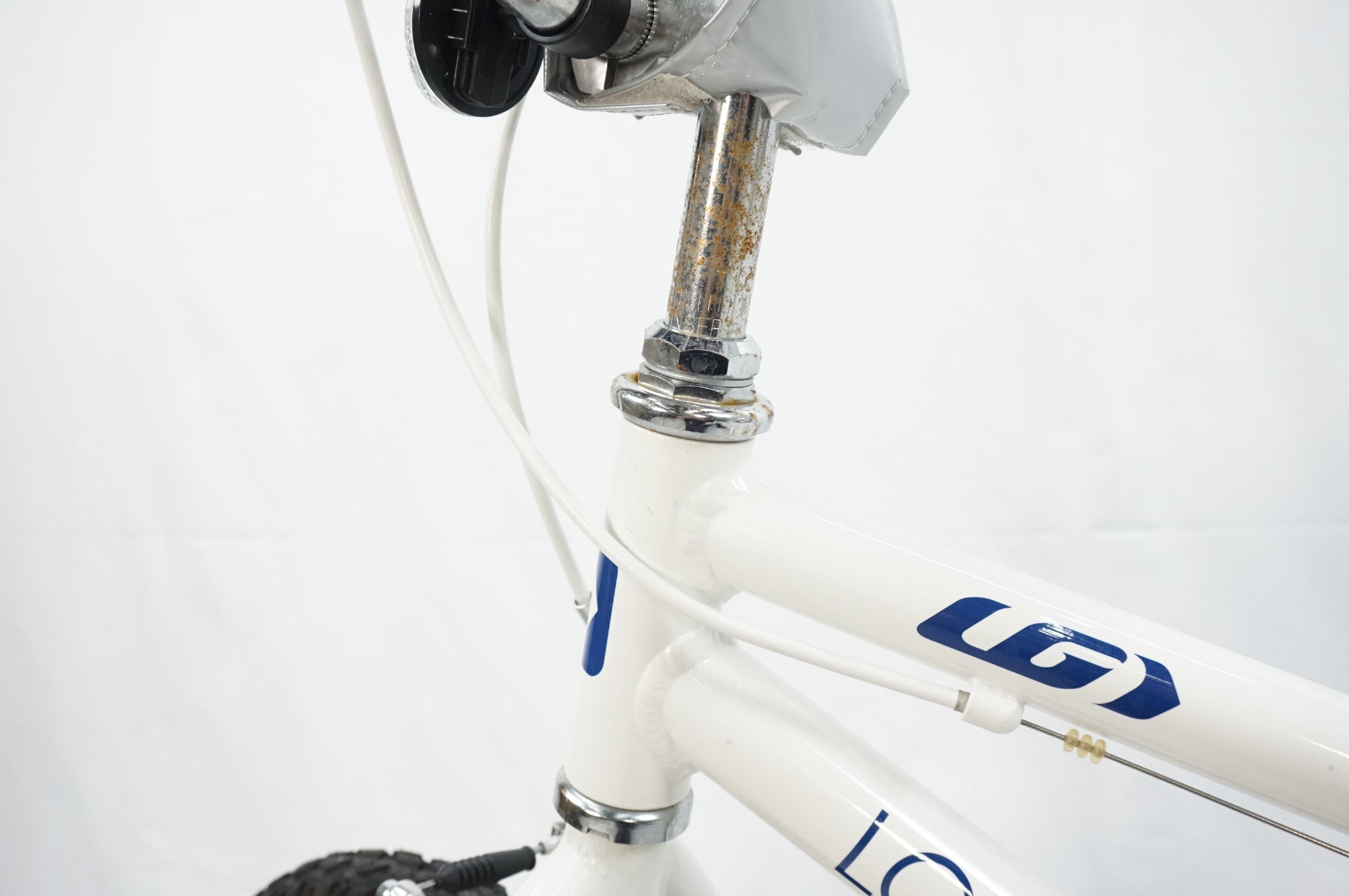 LOUIS GARNEAU 「ルイガノ」 LGS-K16 2019年モデル キッズバイク / 川越店
