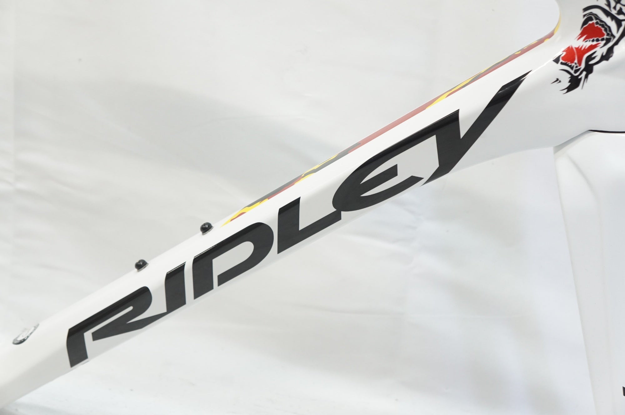 RIDLEY 「リドレー」 FENIX SL DISC 2019年モデル フレームセット / 大宮店
