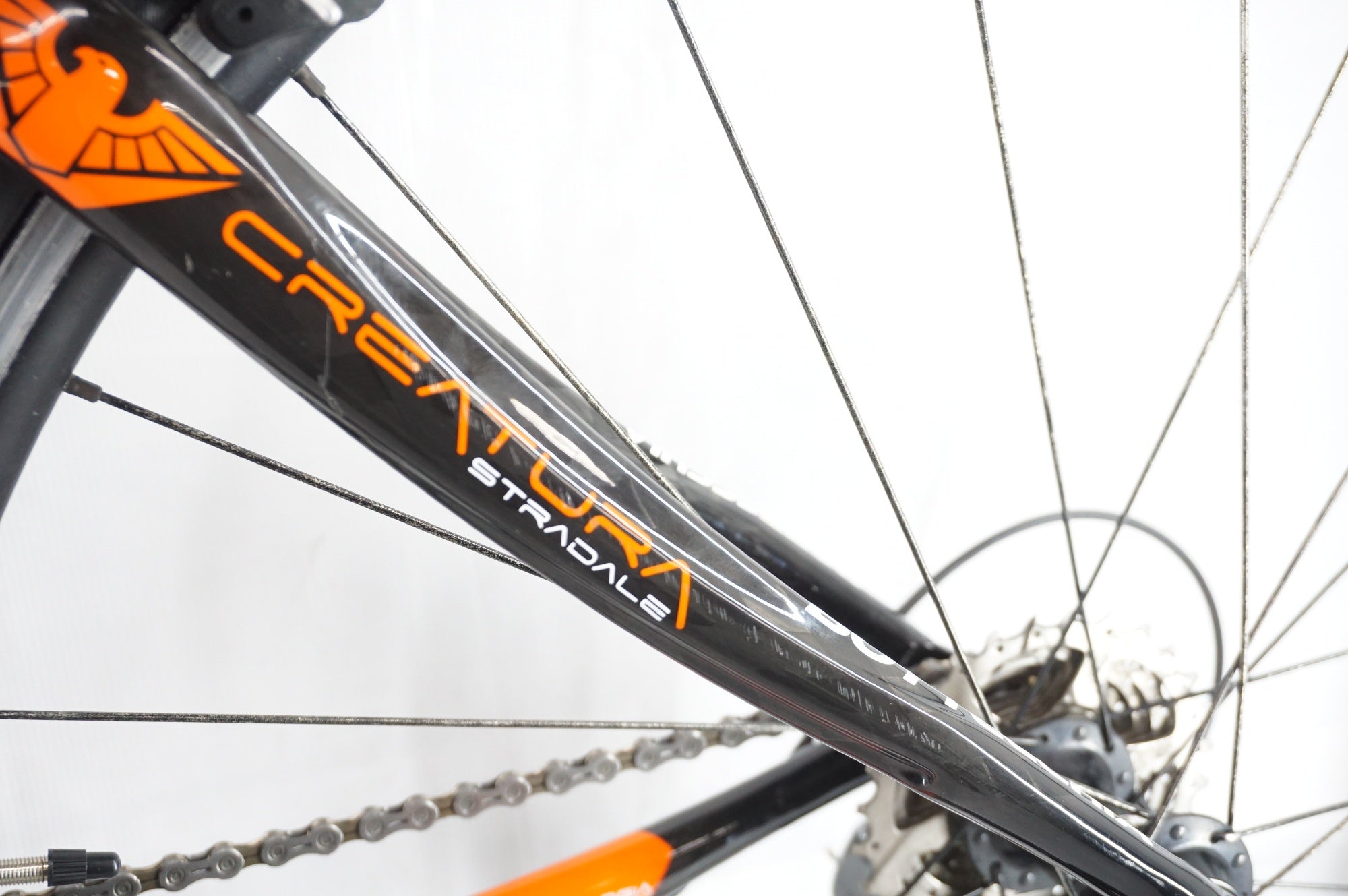 BOTTECCHIA 「 ボッテキア」  8AVIO 2013年モデル ロードバイク / 阪急塚口店