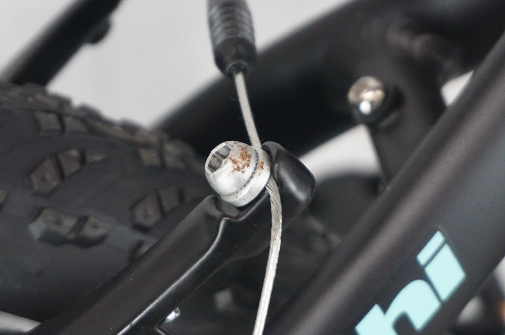 BIANCHI 「ビアンキ」 JUNIOR DUEL 2022年モデル 20インチ キッズバイク / 阪急塚口店