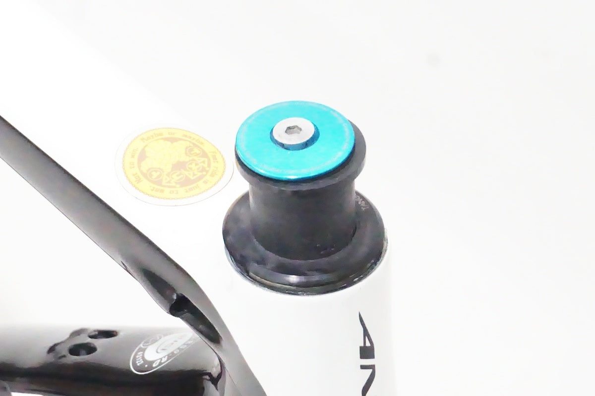 ANCHOR「アンカー」 RS9 2019年モデル フレームセット/ 京都西院店