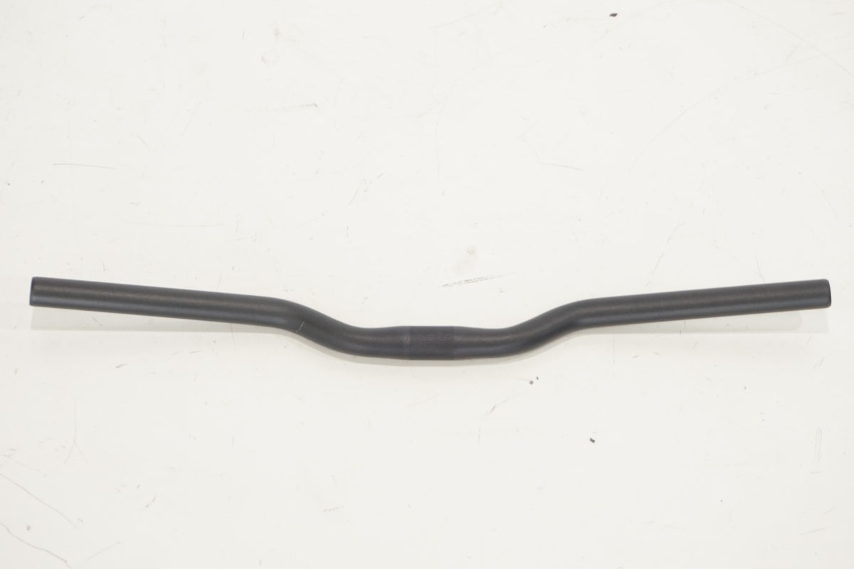 LOUIS GARNEAU 「ルイガノ」 φ25.4 580mm ライザーバー ハンドル / 滋賀大津店