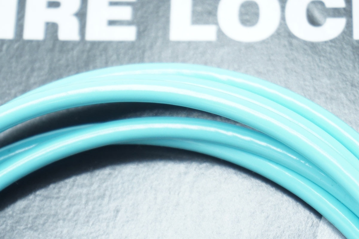 GSR「ジーエスアール」 ワイヤーロック/ 京都西院店