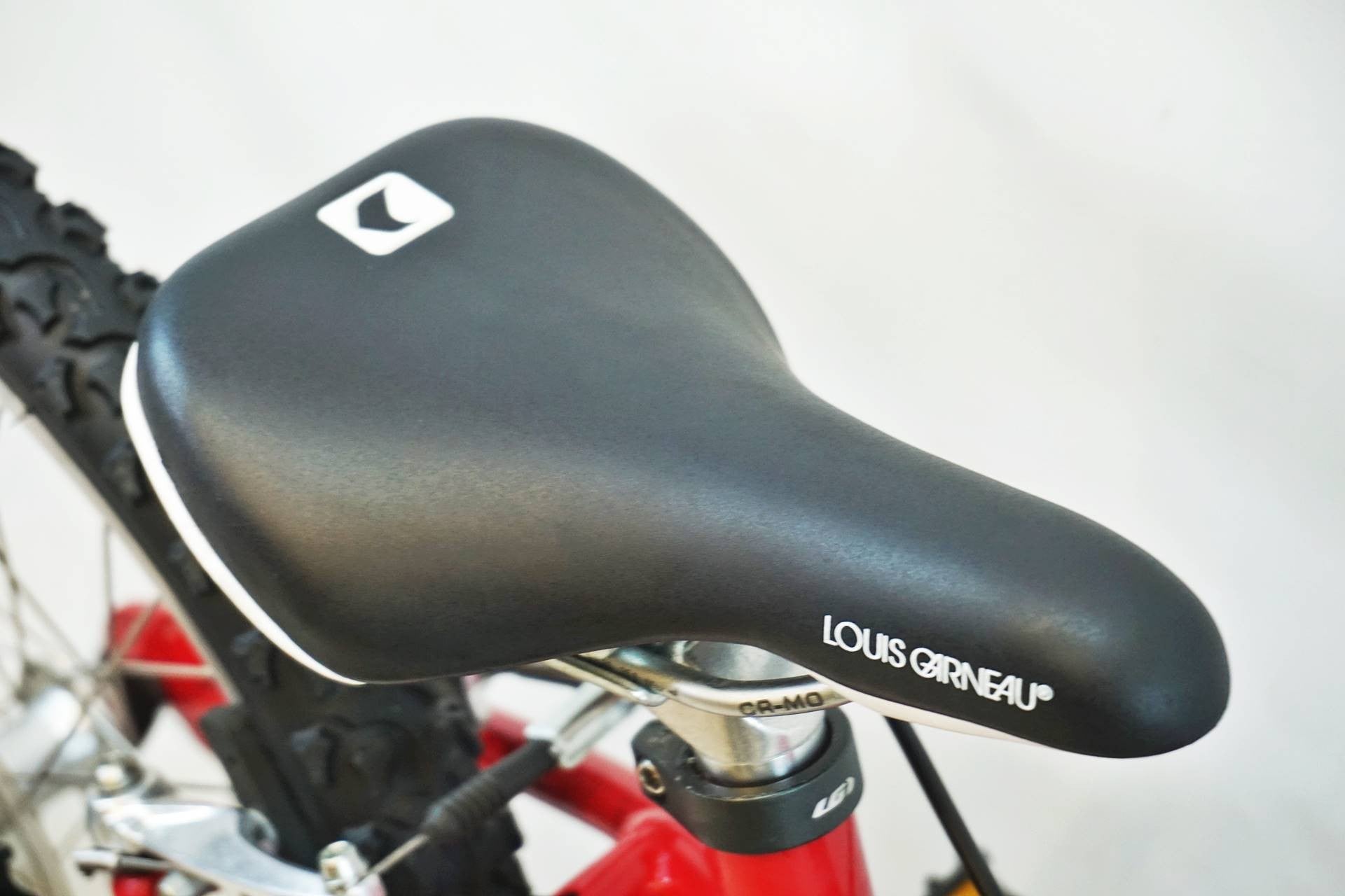 LOUIS GARNEAU 「ルイガノ」 LGS-J20 2020年頃 20インチ キッズバイク / 有明ガーデン店