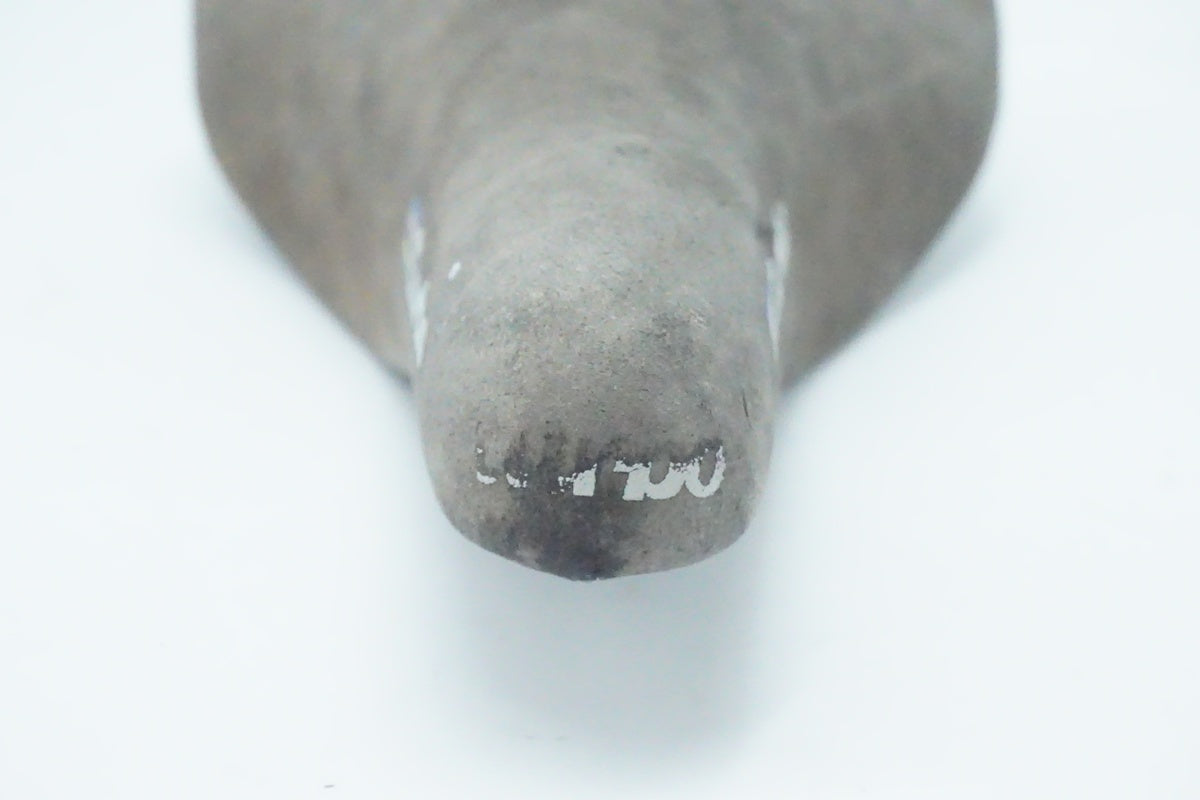 SELLE ITALIA「セライタリア」 TURBO サドル/ 京都西院店