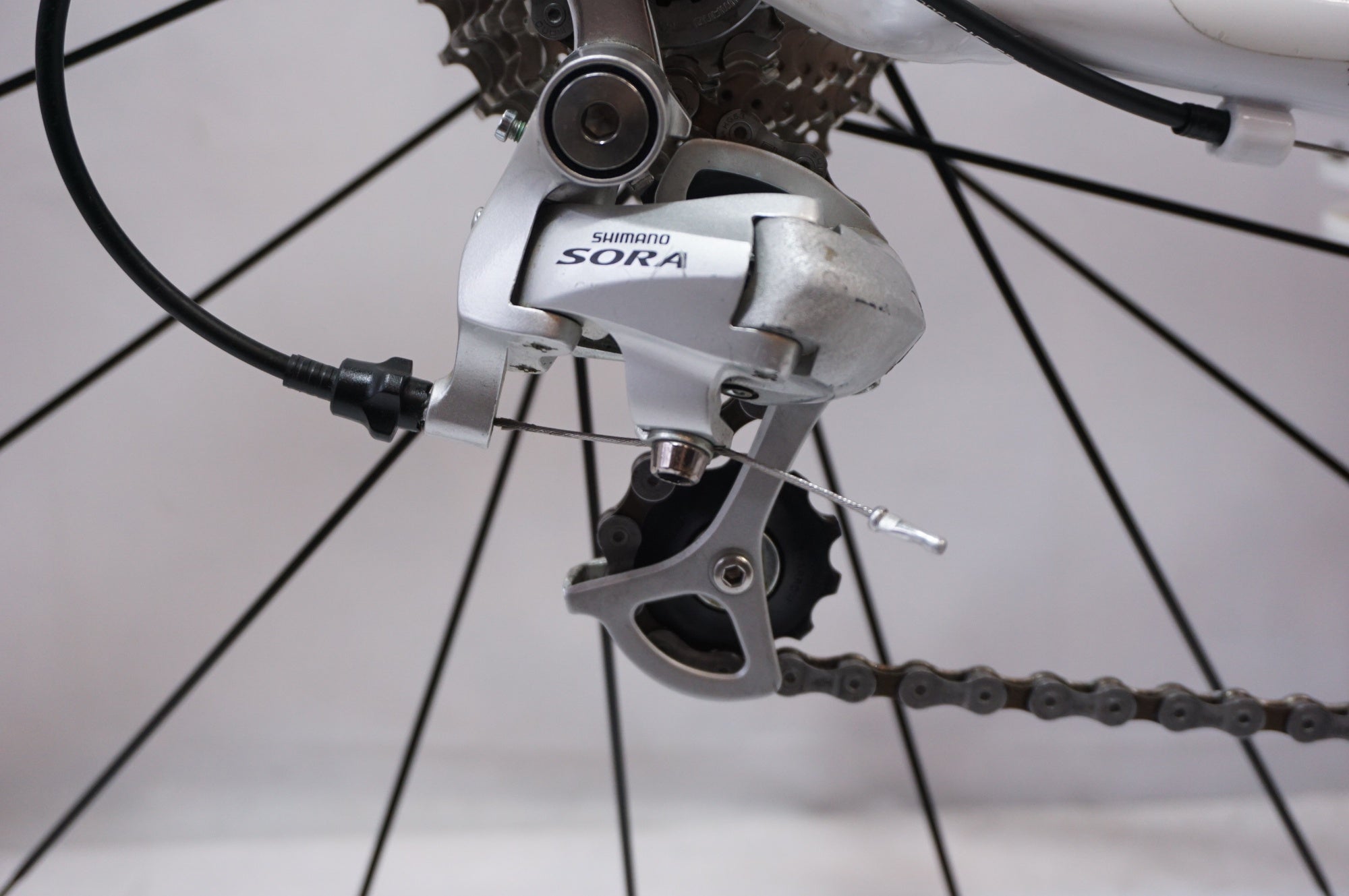 PINARELLO 「ピナレロ」 TREVISO 2011年モデル フラットバーロード