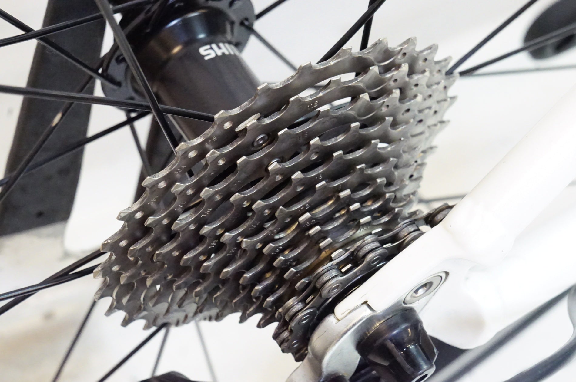 SEROTTA 「セロッタ」 モデル不明 年式不明 ロードバイク / 熊谷