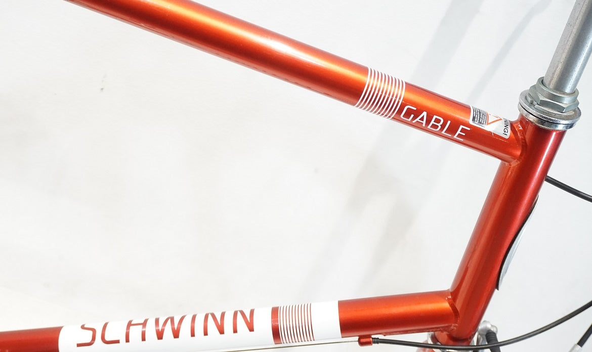 SCHWINN 「シュイン」 GABLE 2019年モデル 20インチ ミニベロ / 横浜