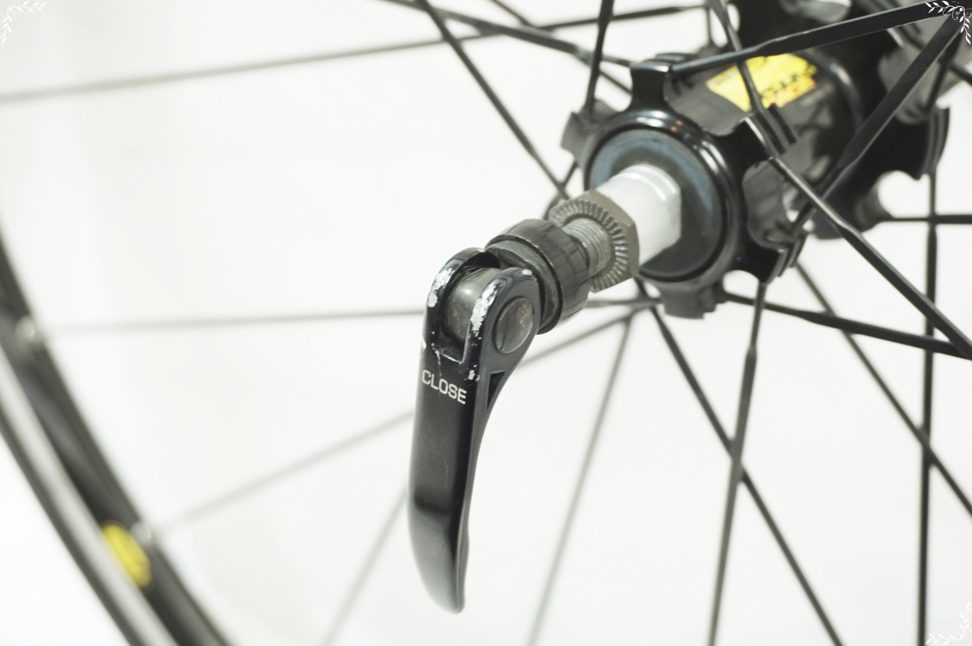 MAVIC 「マヴィック」 AKSIUM RACE カンパフリー ホイールセット / 世田谷店