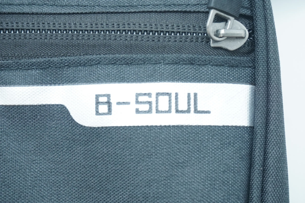 B-SOUL「ビーソウル」 フレームバック/ 京都西院店