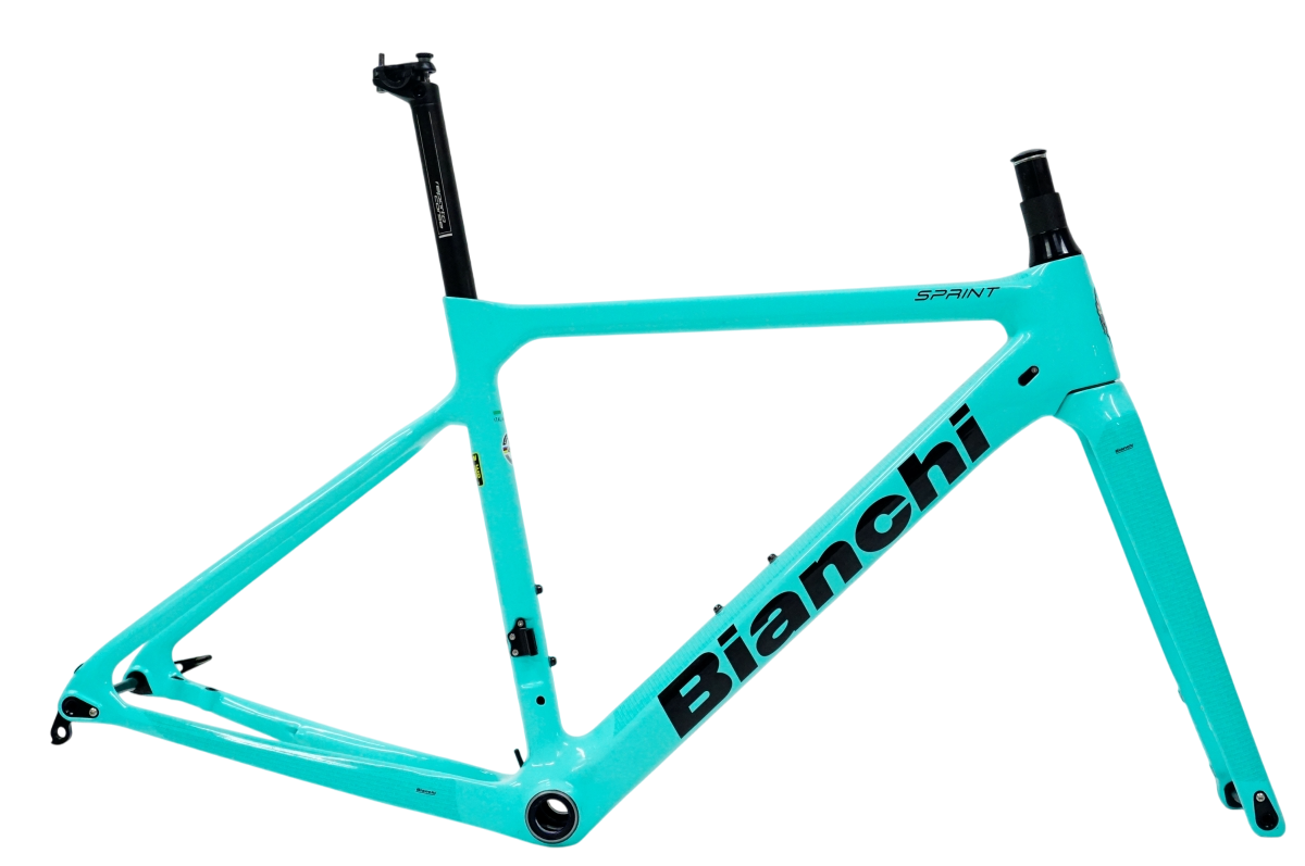 BIANCHI 「ビアンキ」 SPRINT DISC 2020年モデル フレームセット / 名古屋大須店