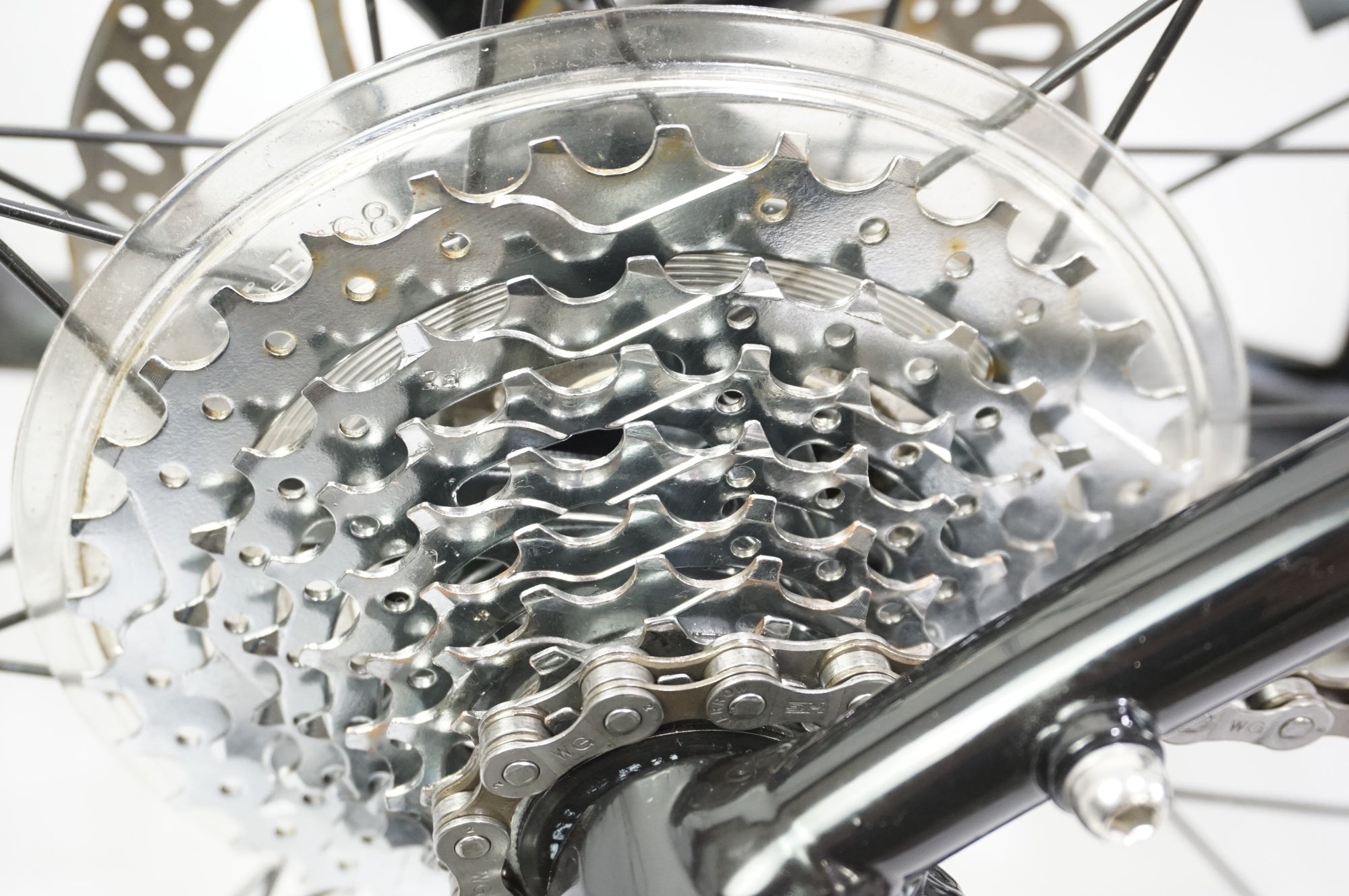 CORRATEC 「コラテック」 SHAPE CHUBBY 2024年モデル クロスバイク / 有明ガーデン店