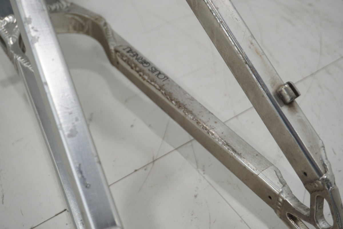 LOUIS GARNEAU 「ルイガノ」 DH PRO 年式不明 フレームセット / 滋賀
