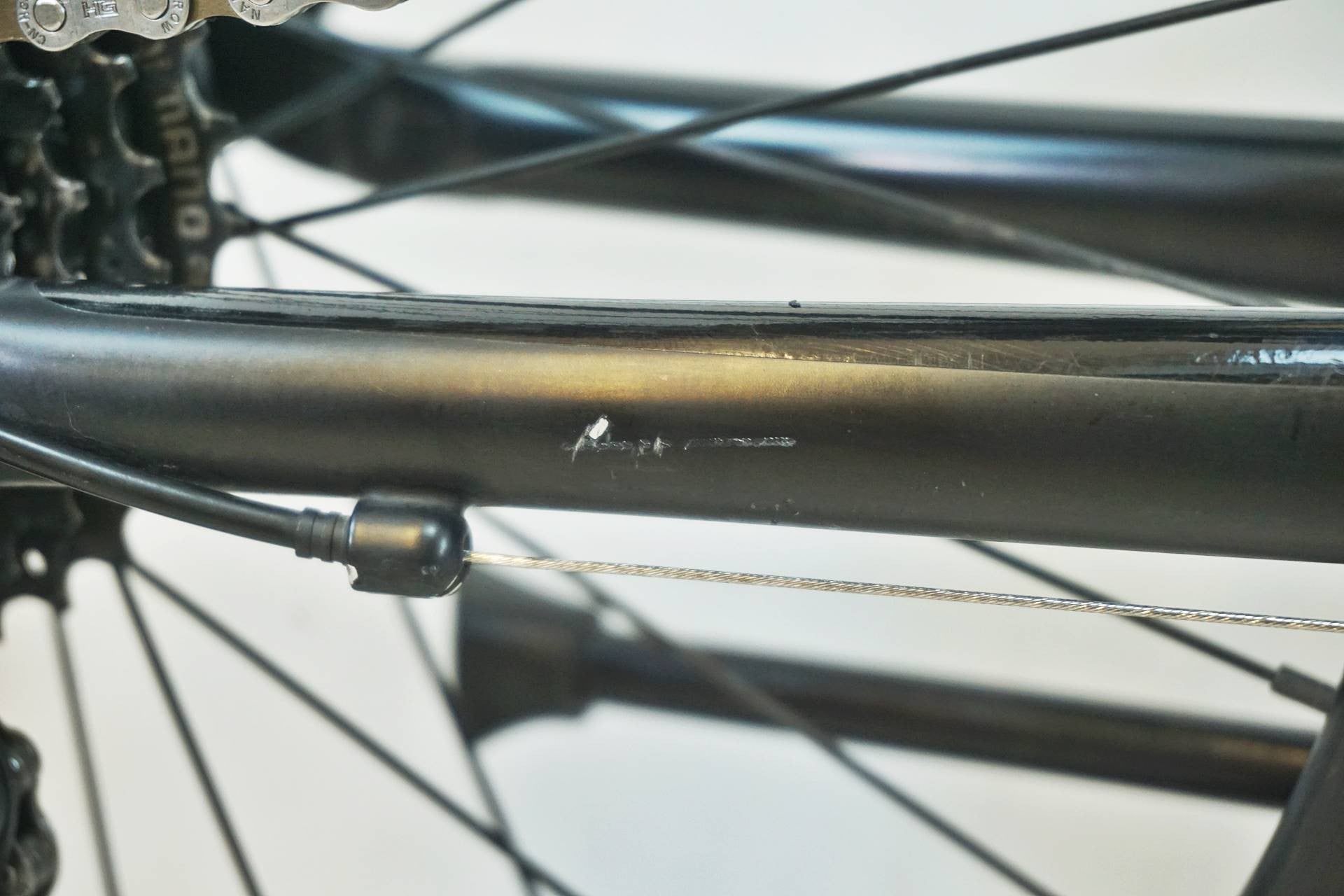 TERN 「ターン」 CREST 2021年モデル 20インチ ミニベロ / 有明ガーデン店