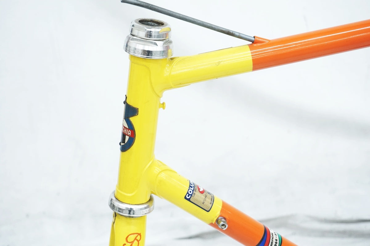 BOTTECCHIA 「ボッテキア」 COLUMBUS SL 年式不明 フレームセット